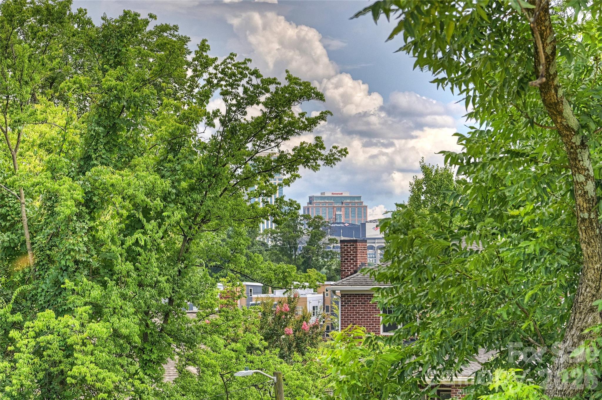 209 Coxe Avenue A Property Photo 18