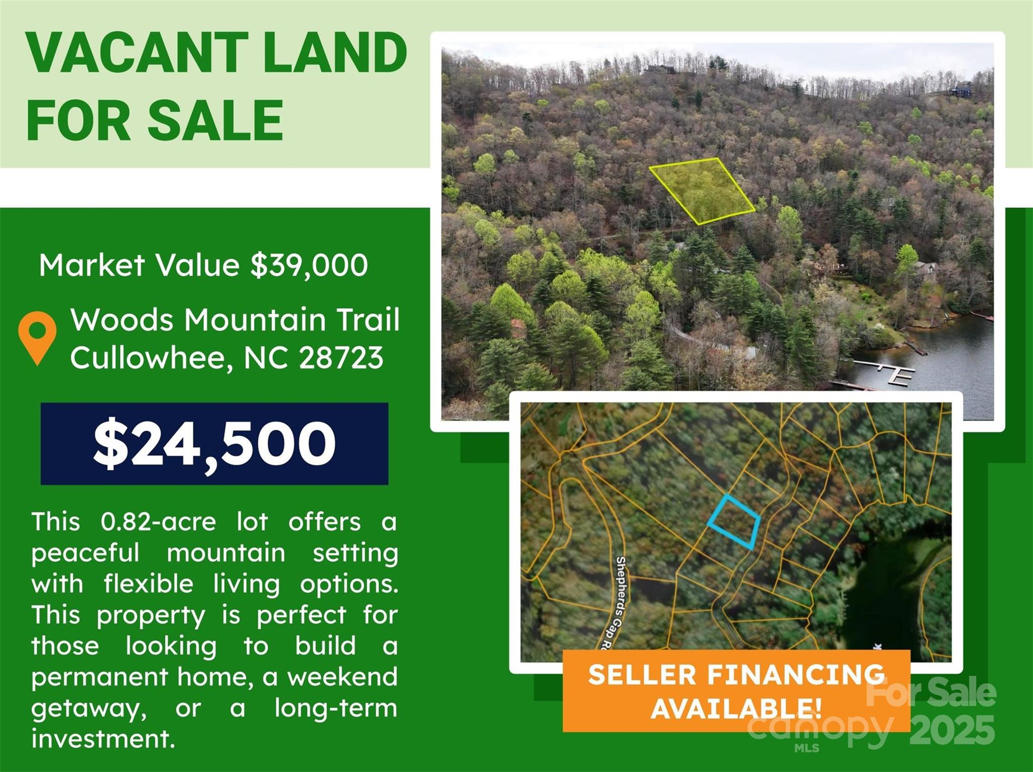 Lot 3 Woods Mountain Trail Property Photo 1