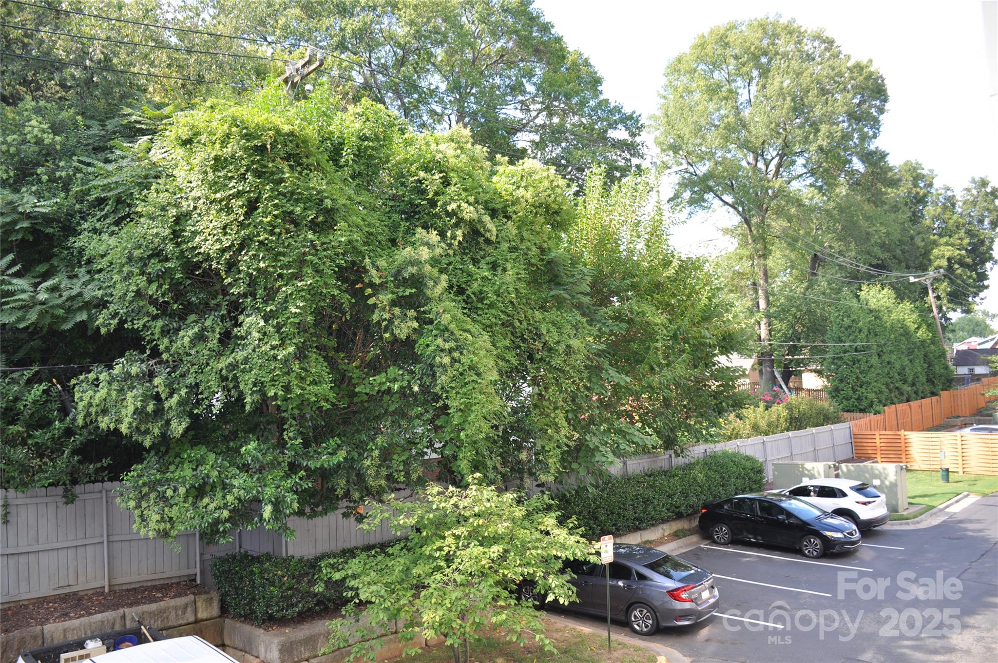 630 Calvert Street 1110 Property Photo 24