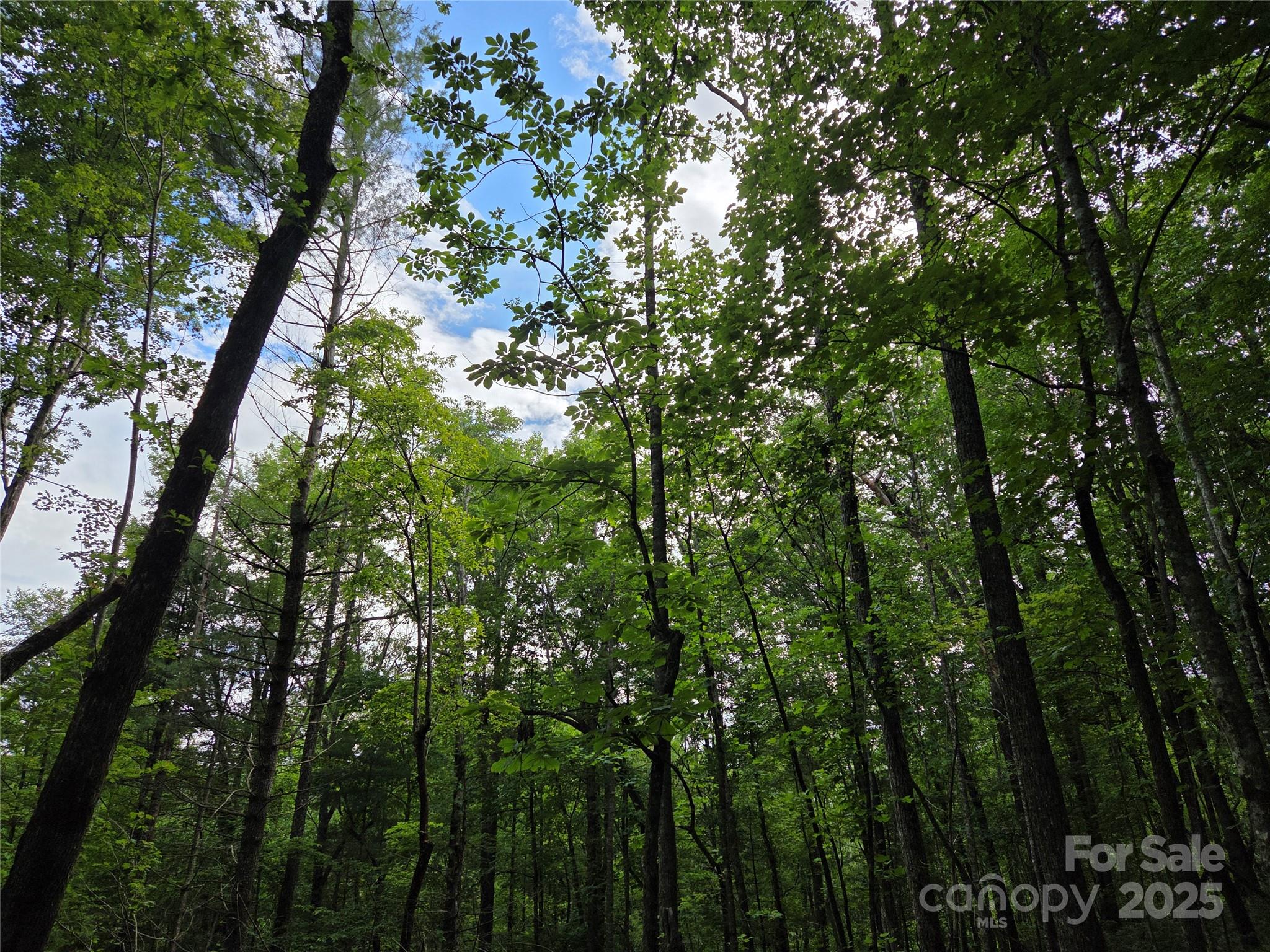 Tbd Cedar Lane Property Photo 1