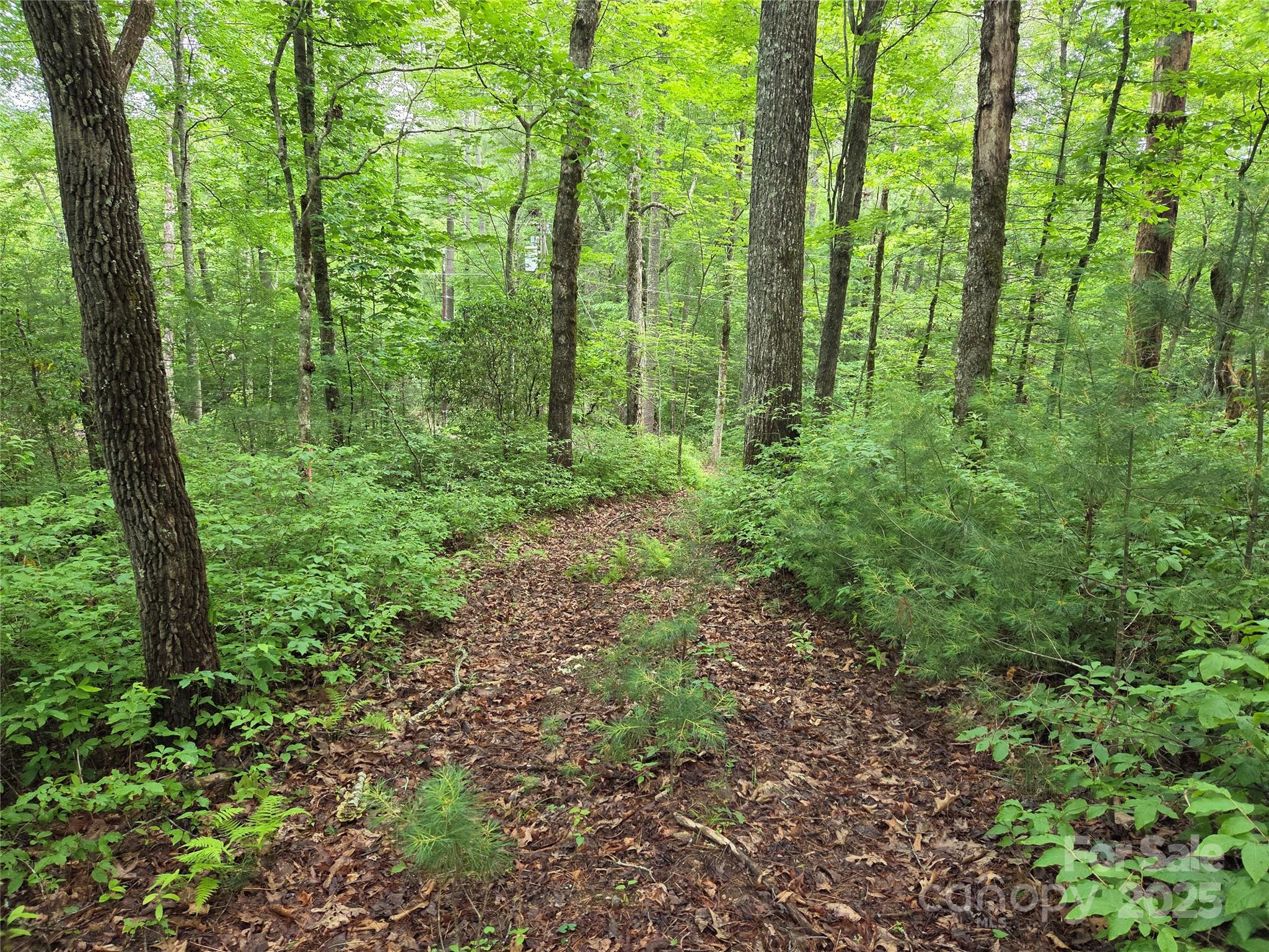 Tbd Cedar Lane Property Photo 3