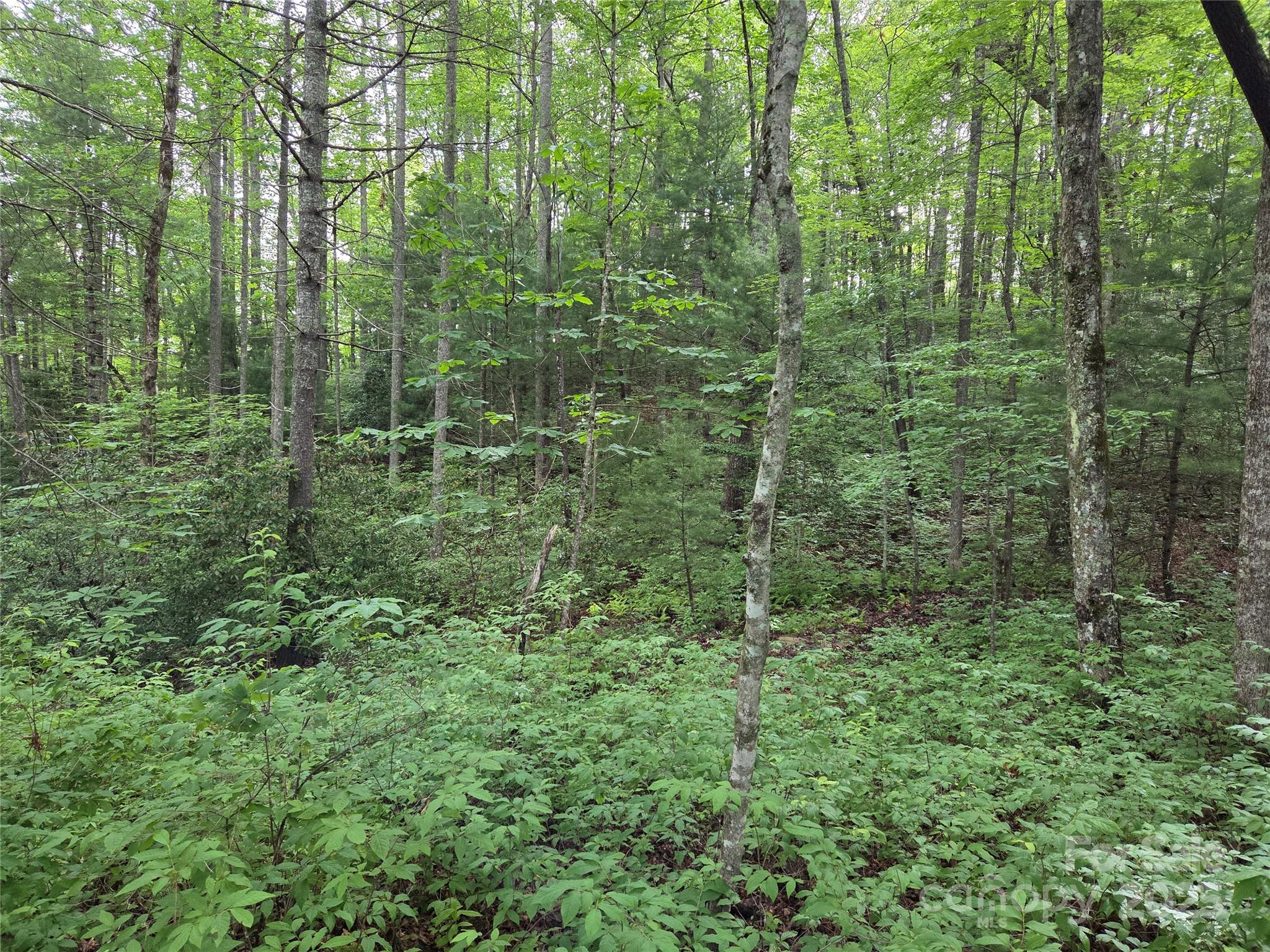 Tbd Cedar Lane Property Photo 11