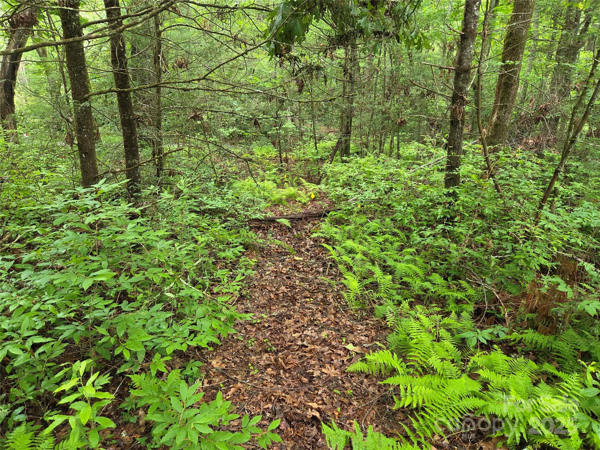 Tbd Cedar Lane Property Photo 13