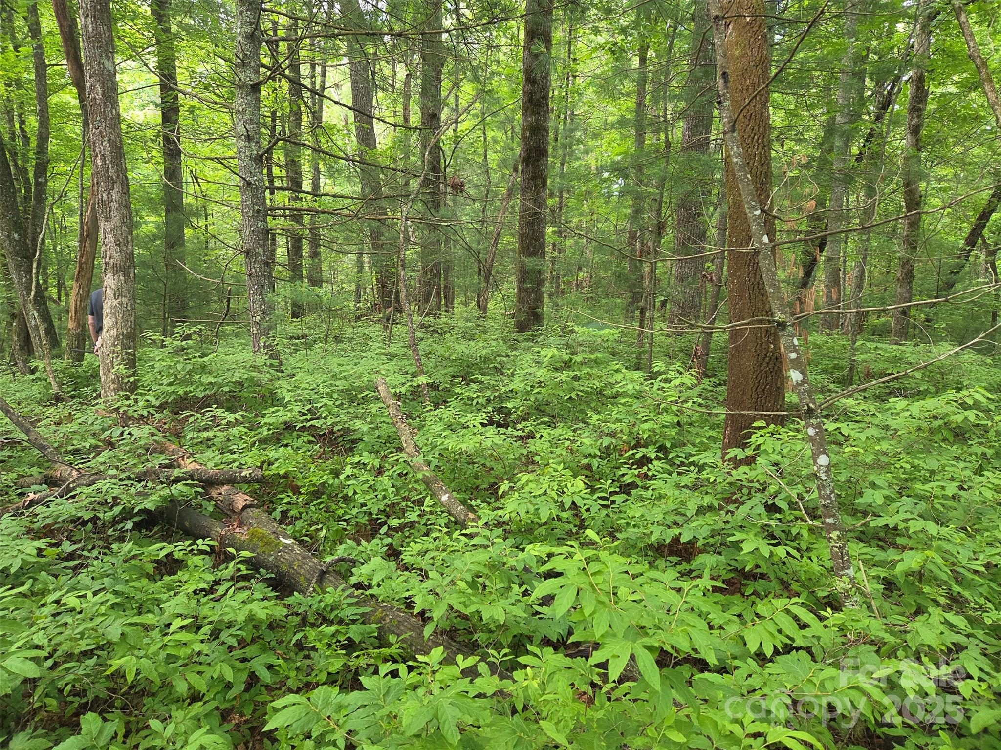 Tbd Cedar Lane Property Photo 14
