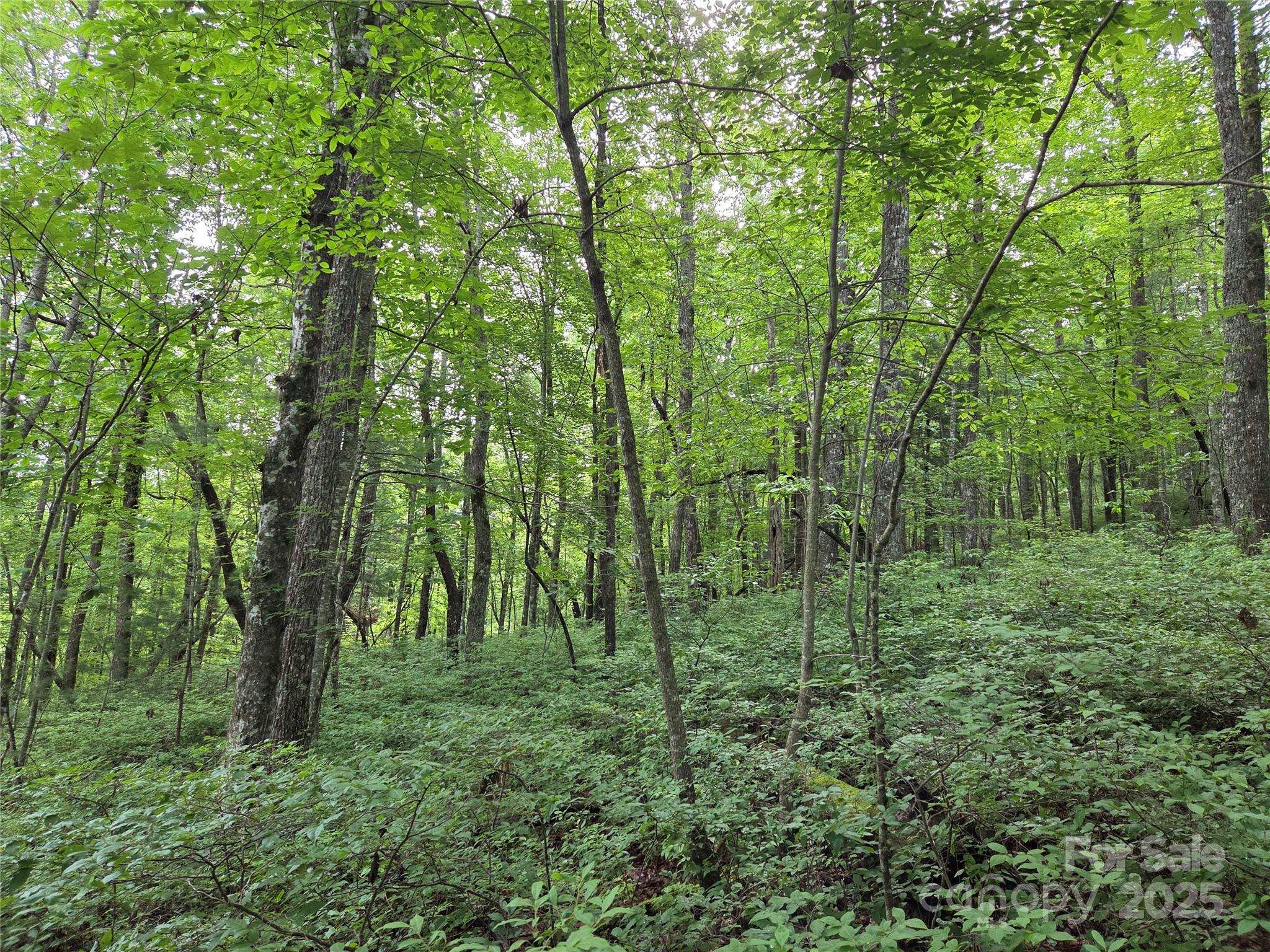 Tbd Cedar Lane Property Photo 19