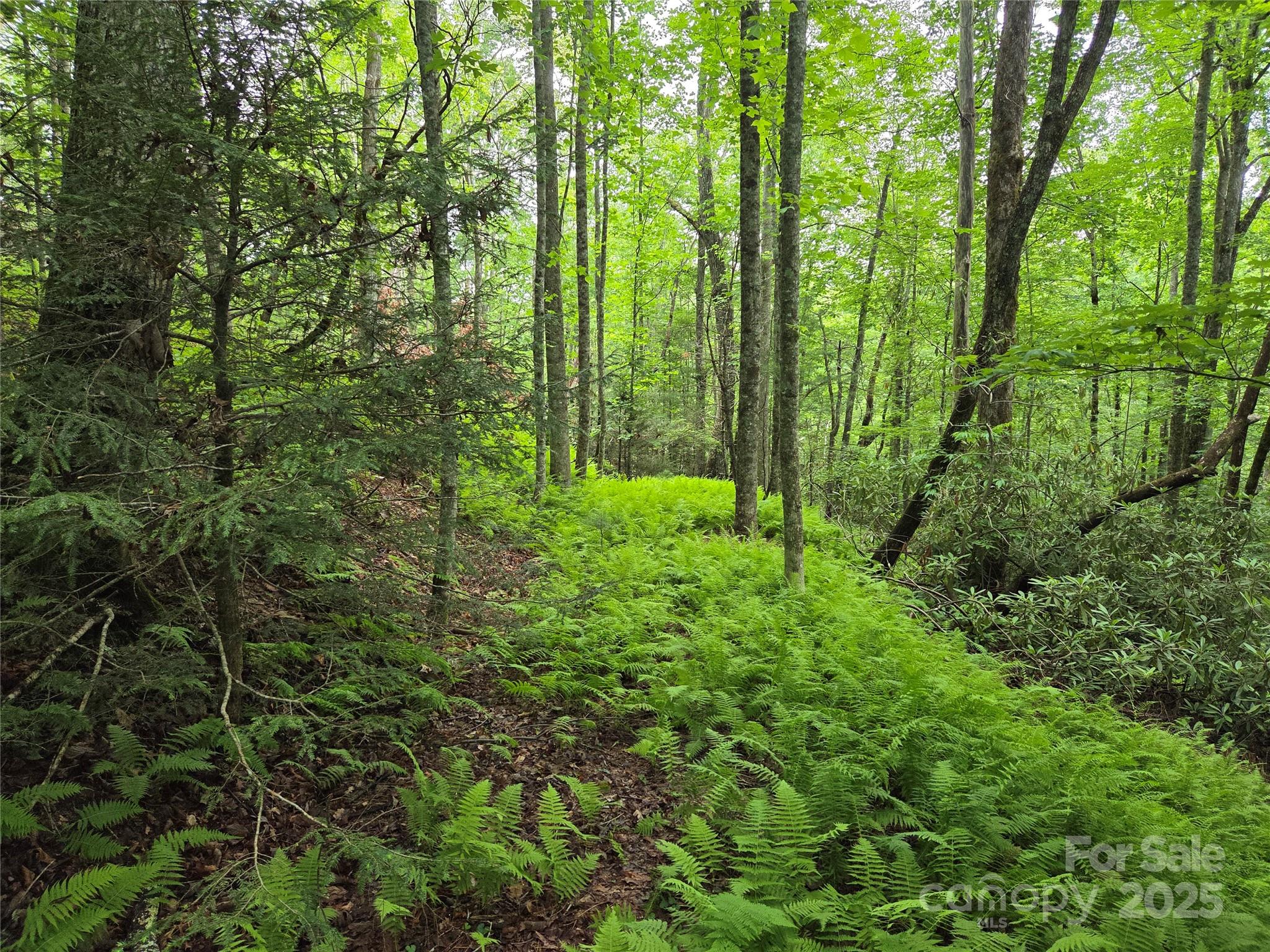 Tbd Cedar Lane Property Photo 22
