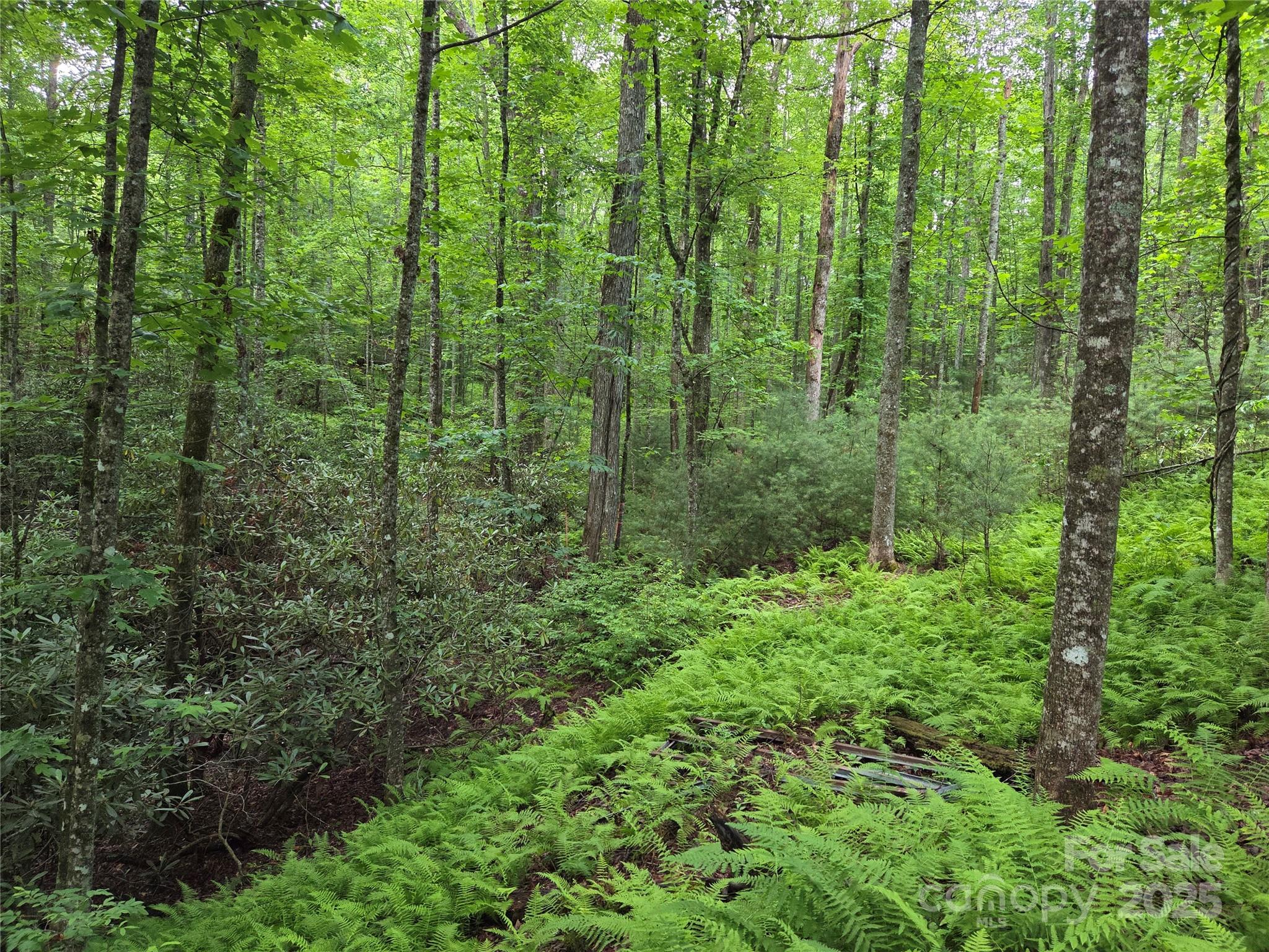 Tbd Cedar Lane Property Photo 23