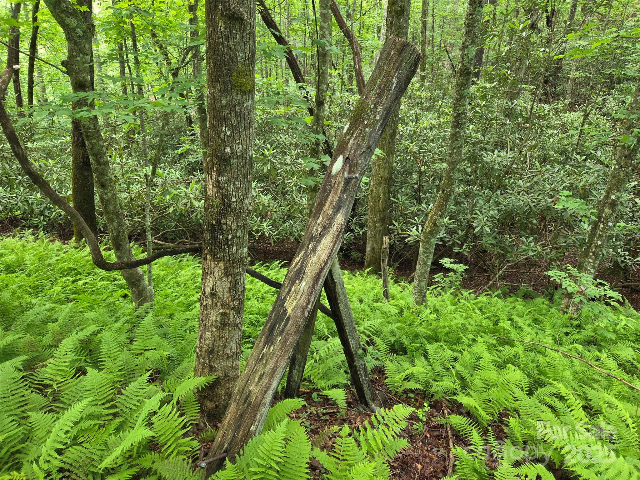 Tbd Cedar Lane Property Photo 24