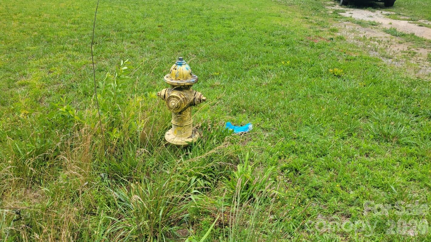 000 Riverview Road Property Photo 5