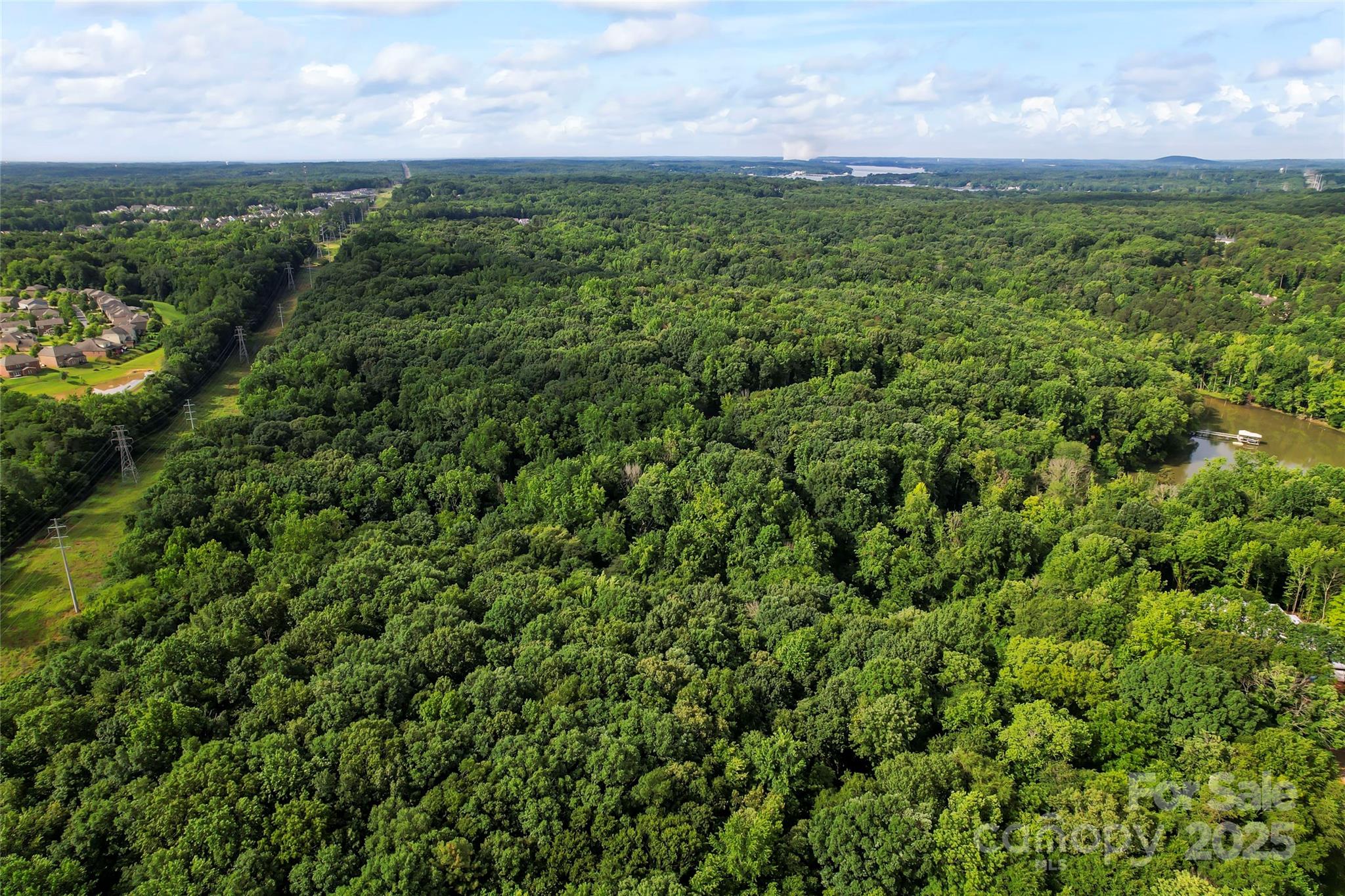 10717 Wildlife Road Property Photo 4