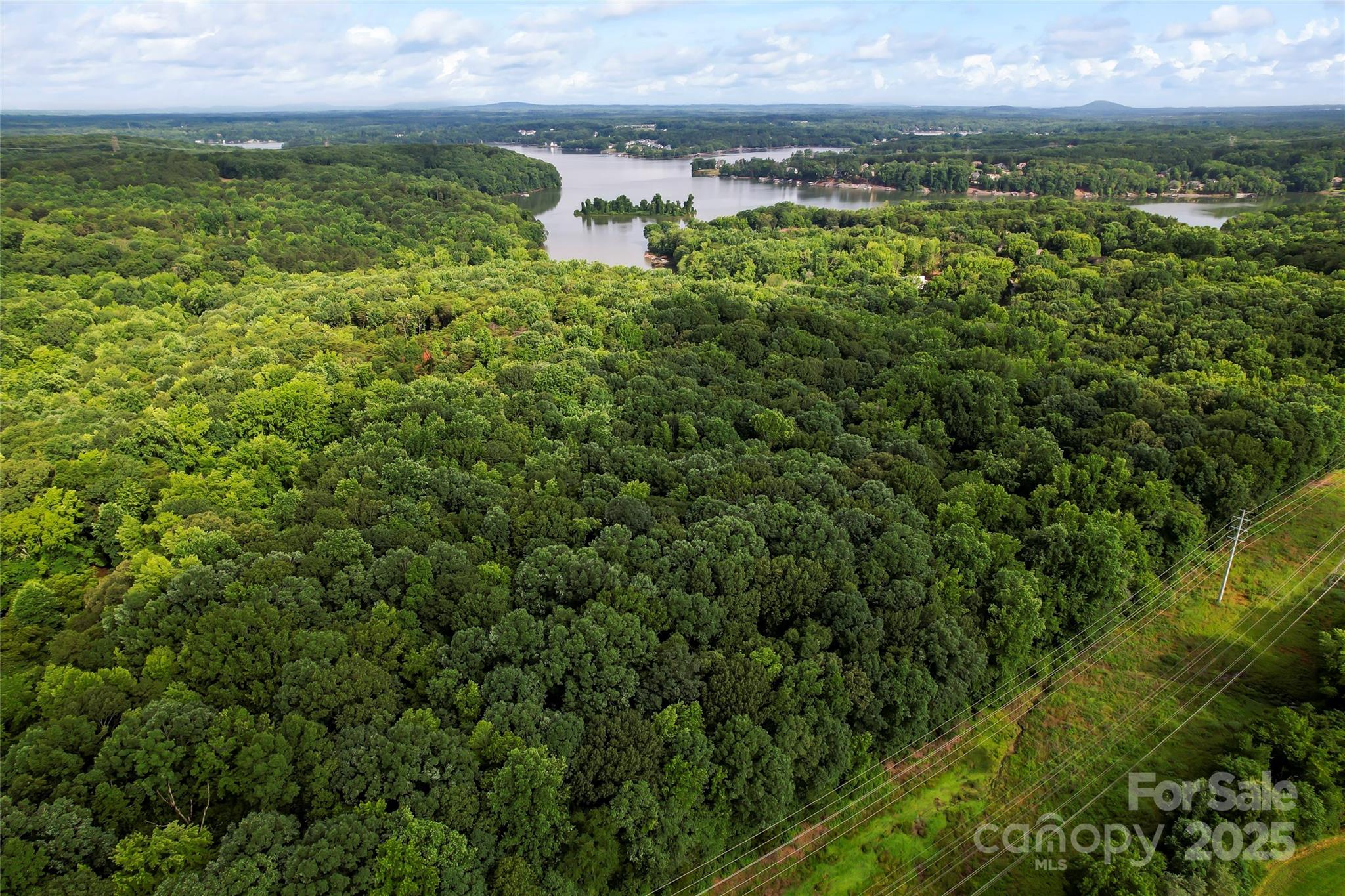 10717 Wildlife Road Property Photo 5