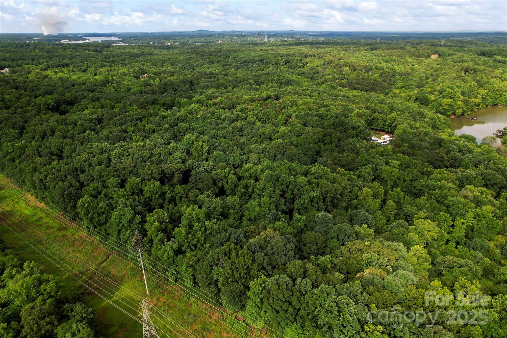 10717 Wildlife Road Property Photo 6