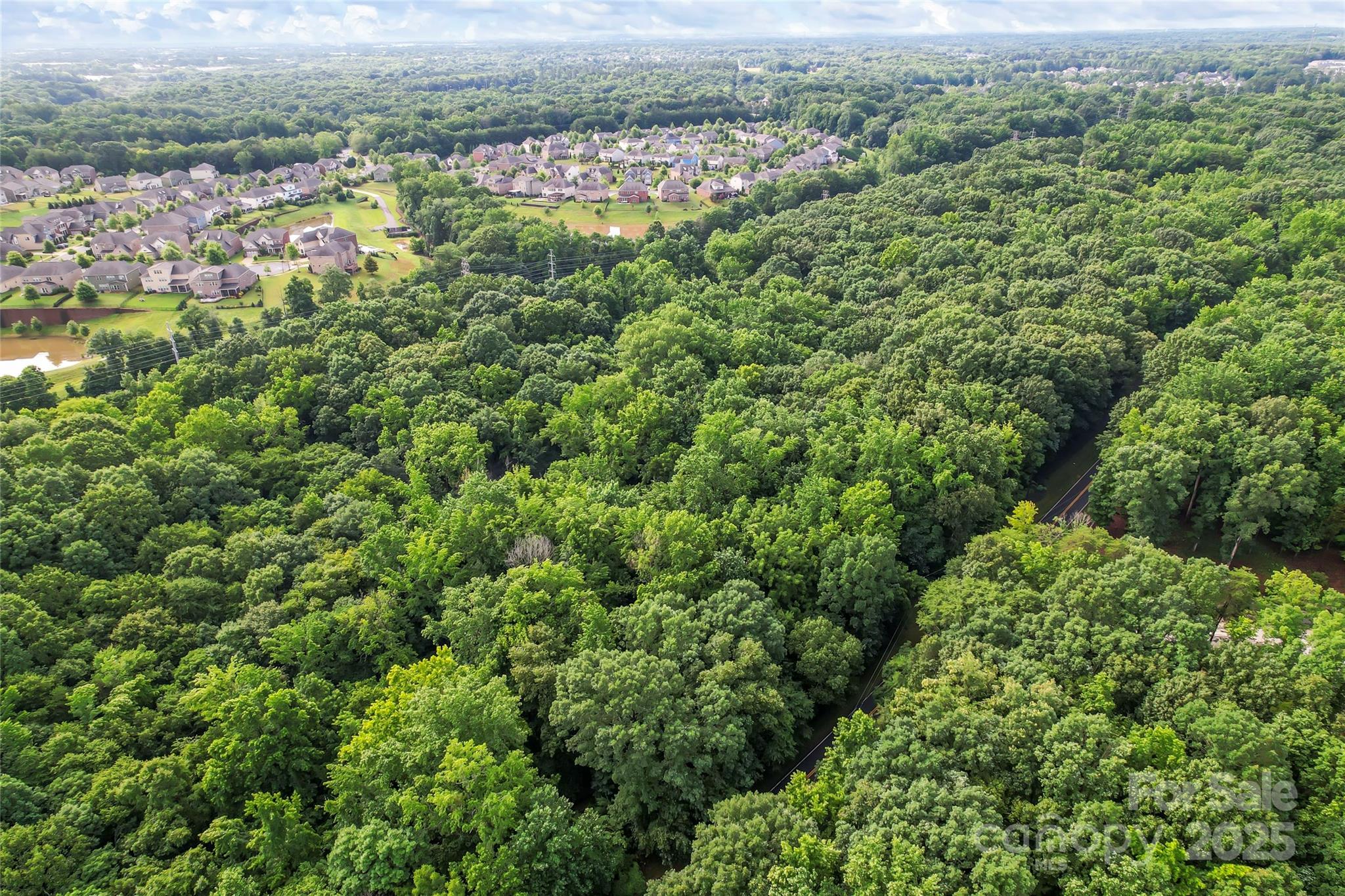 10717 Wildlife Road Property Photo 7