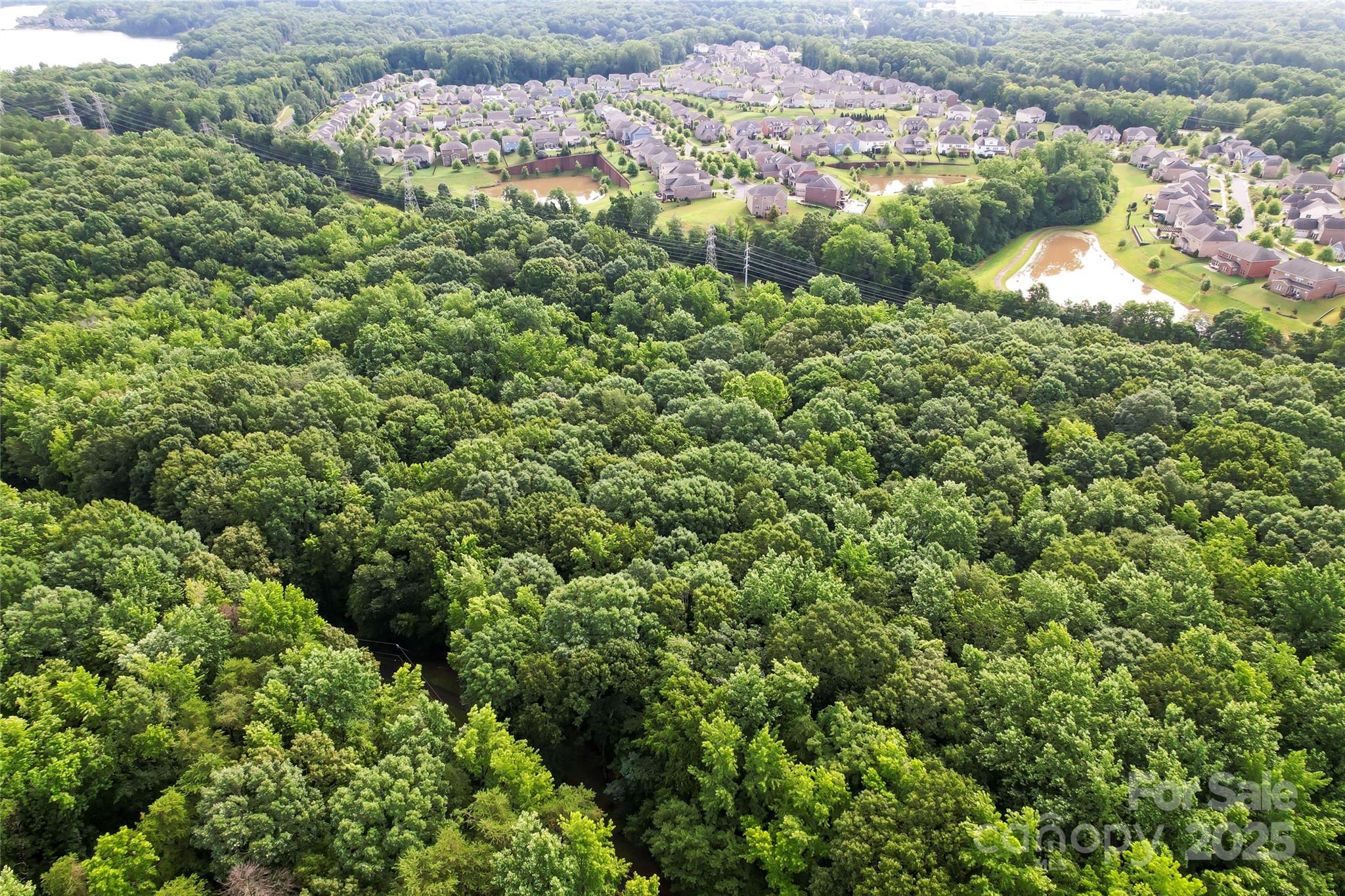 10717 Wildlife Road Property Photo 8