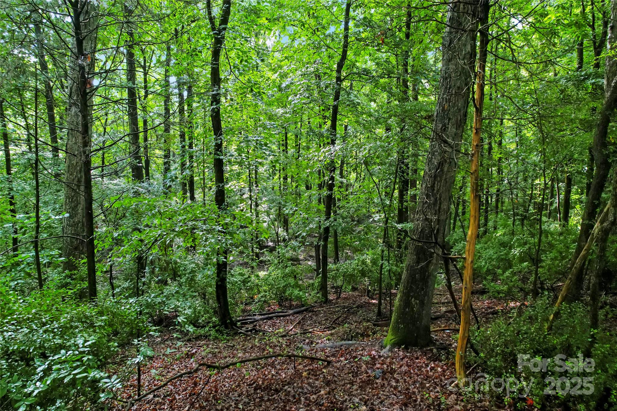 10717 Wildlife Road Property Photo 9