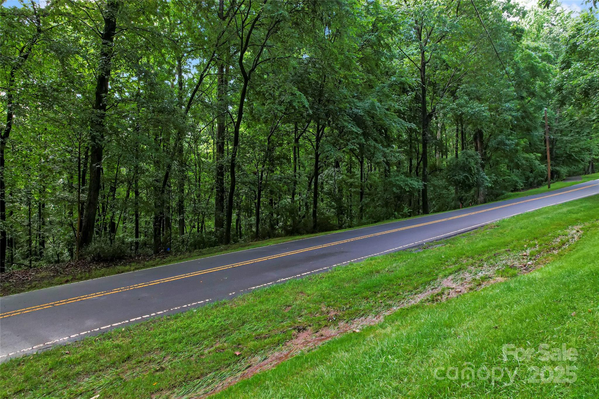 10717 Wildlife Road Property Photo 10