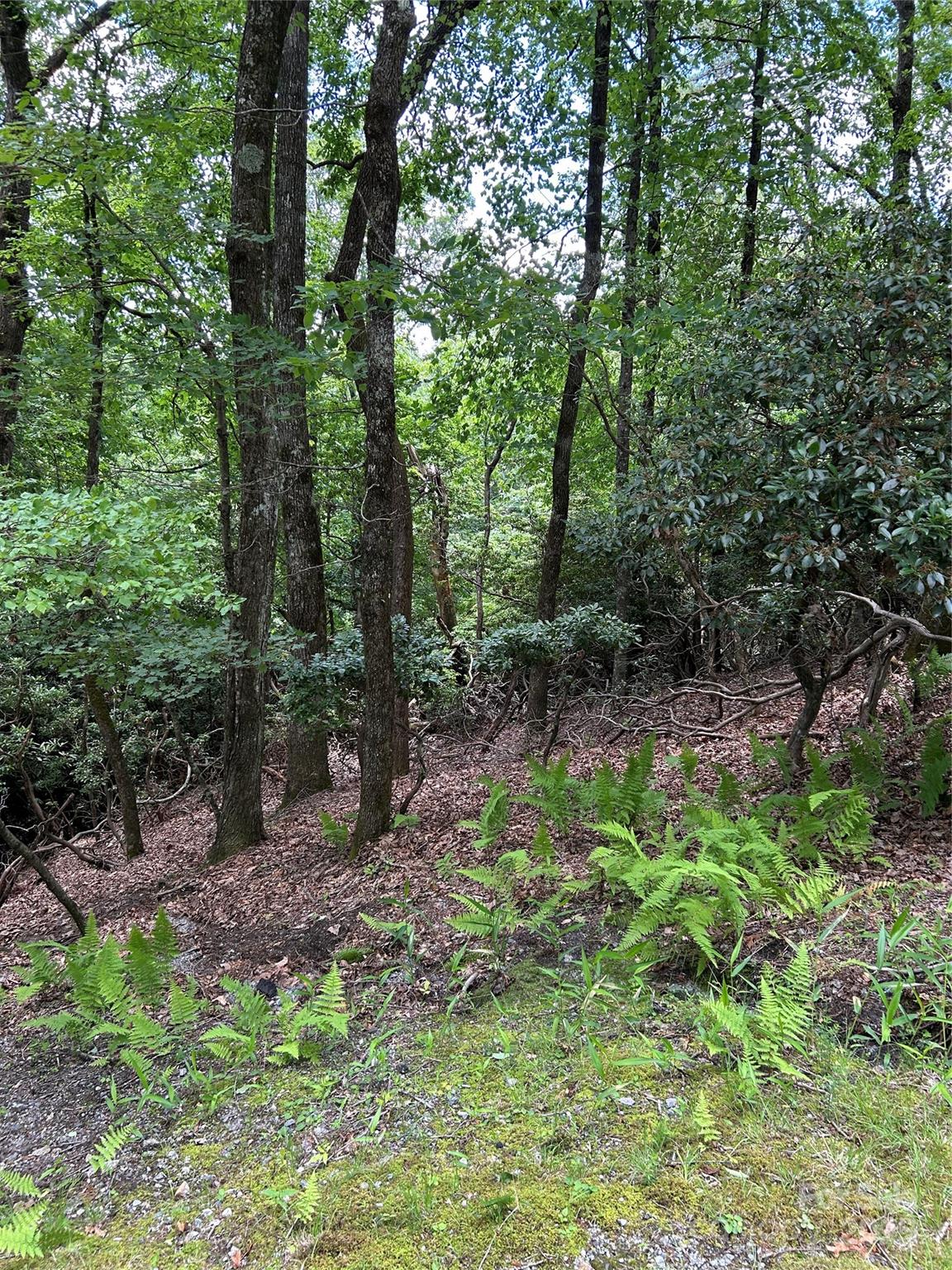 TBD Connestee Trail UO2/L406 Property Photo 1