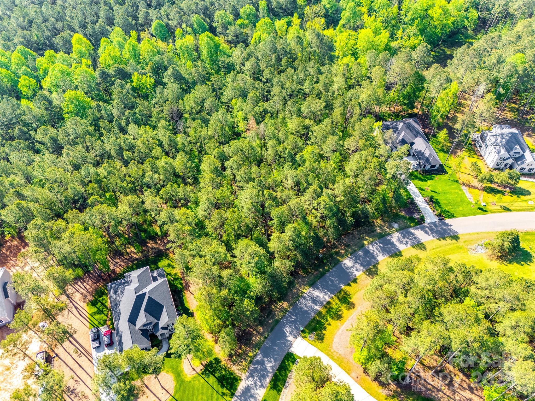 6025 Chimney Bluff Road 14 Property Photo 2