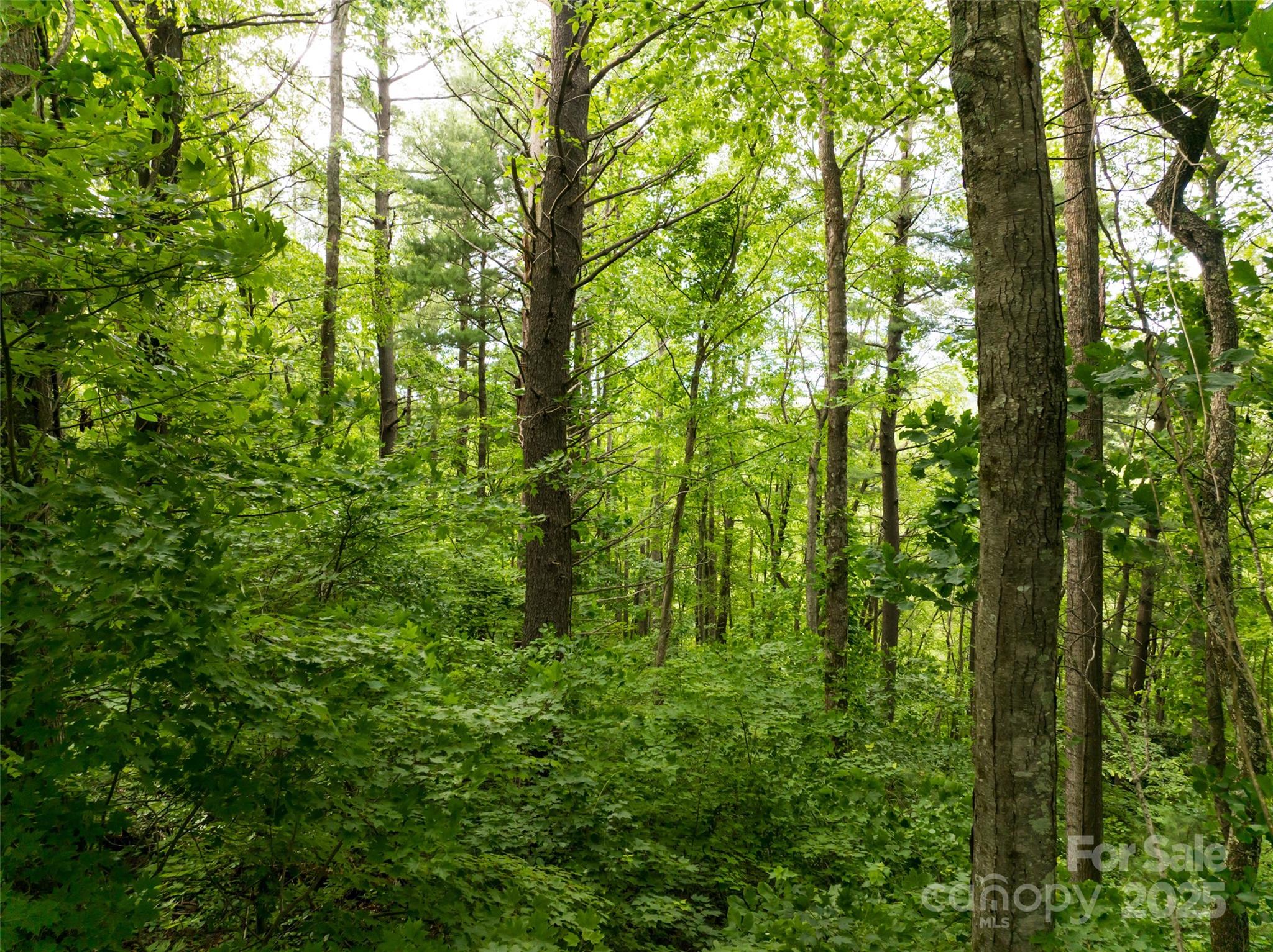 9999 White Oak Gap Road Property Photo 3