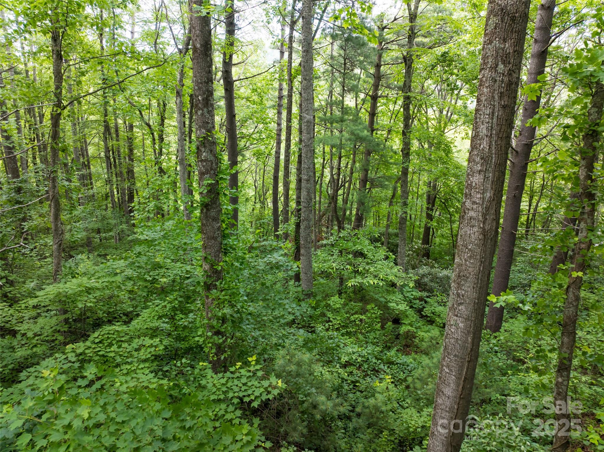 9999 White Oak Gap Road Property Photo 4