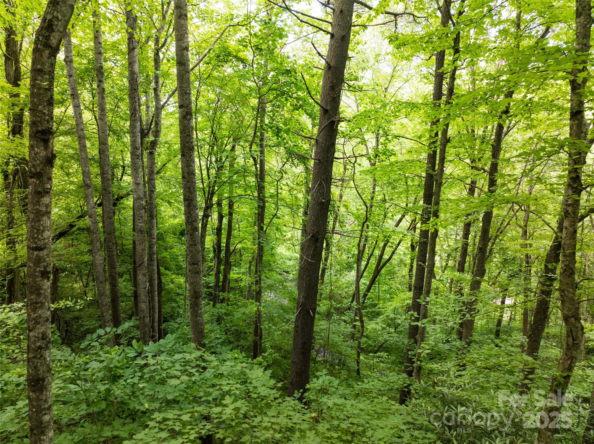 9999 White Oak Gap Road Property Photo 10