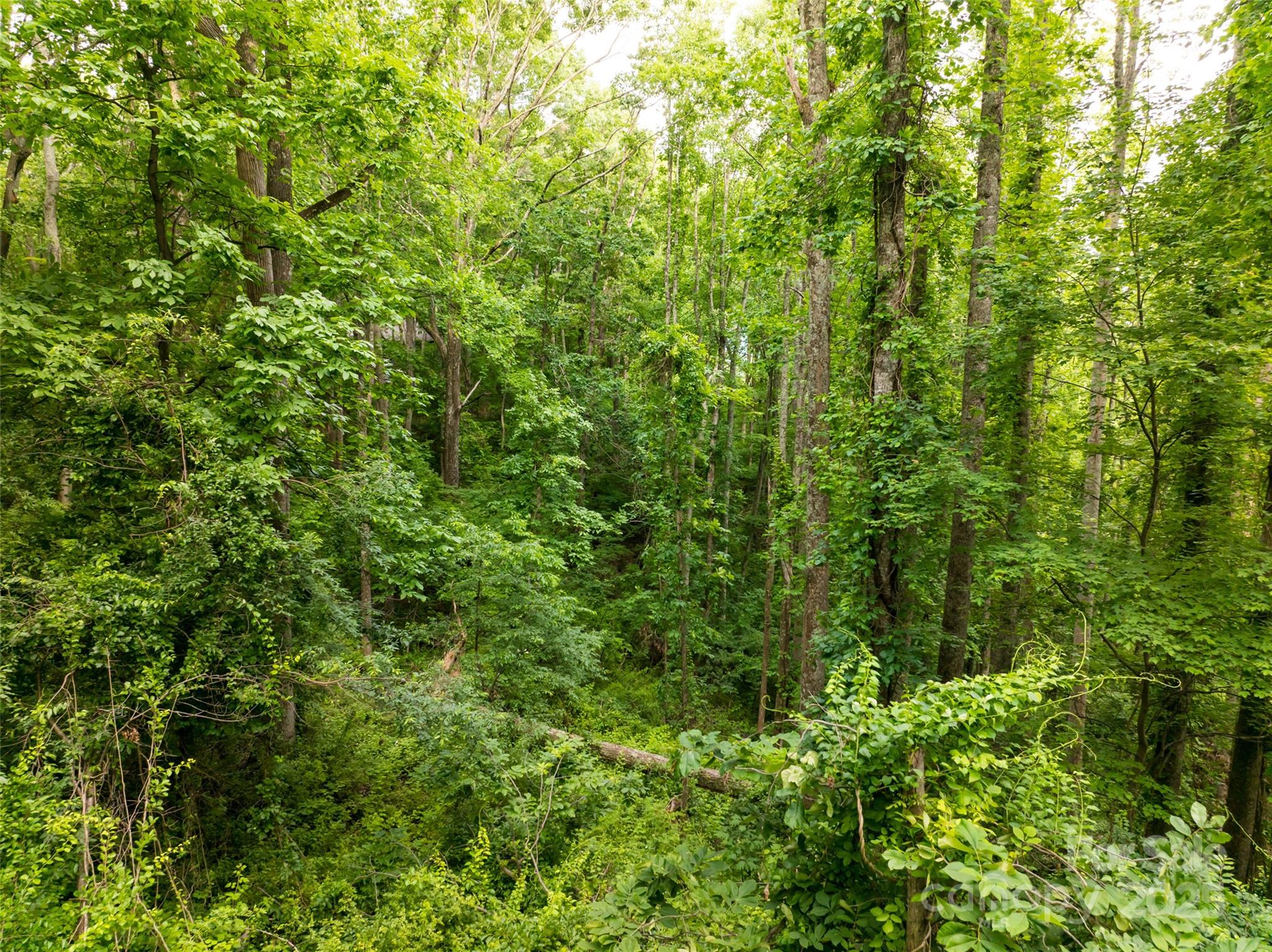 9999 White Oak Gap Road Property Photo 16