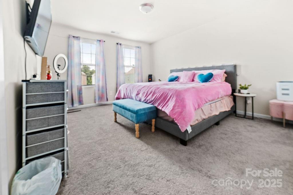 9025 Henry Thoreau Road Property Photo 29