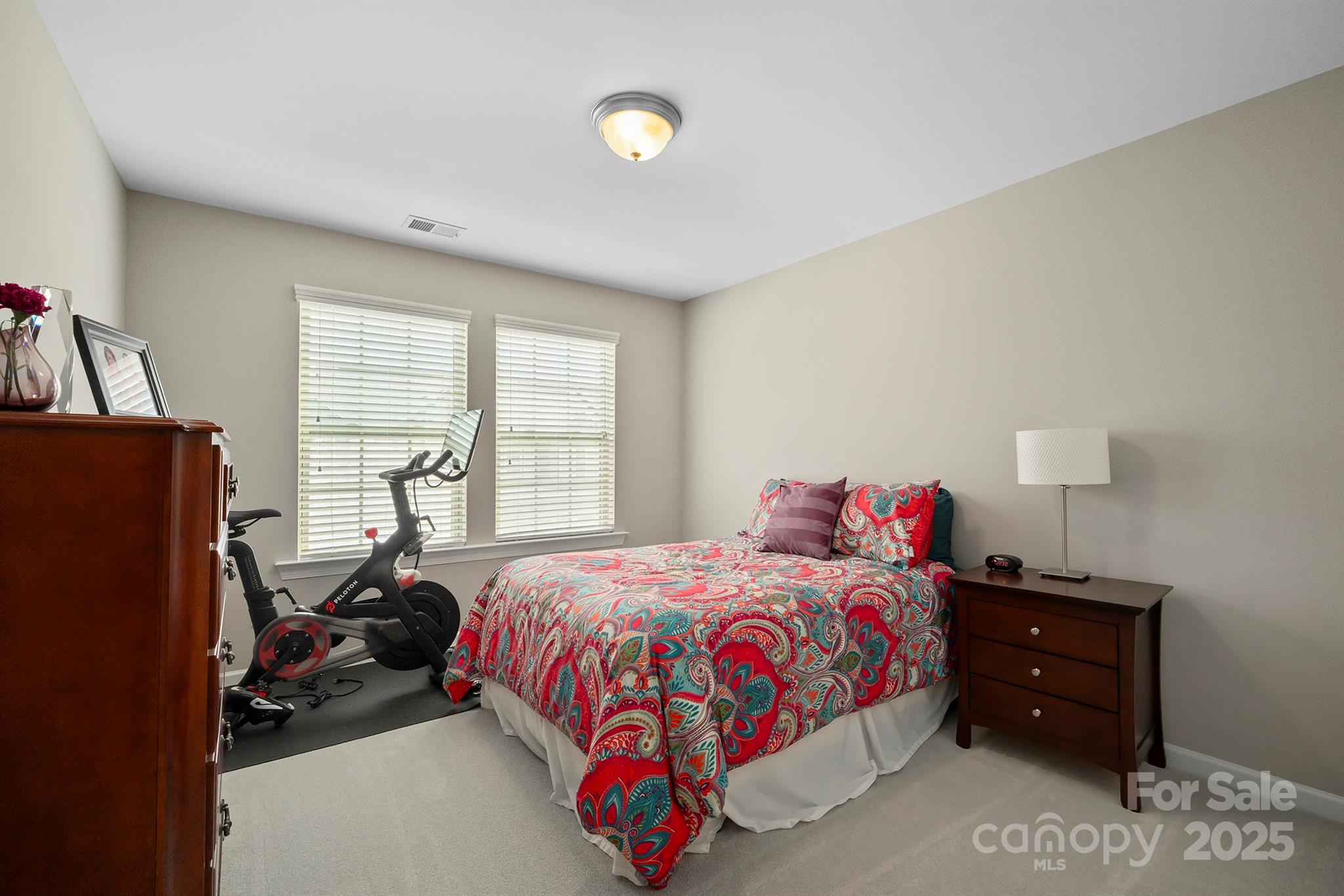7322 Dulnian Way Property Photo 11