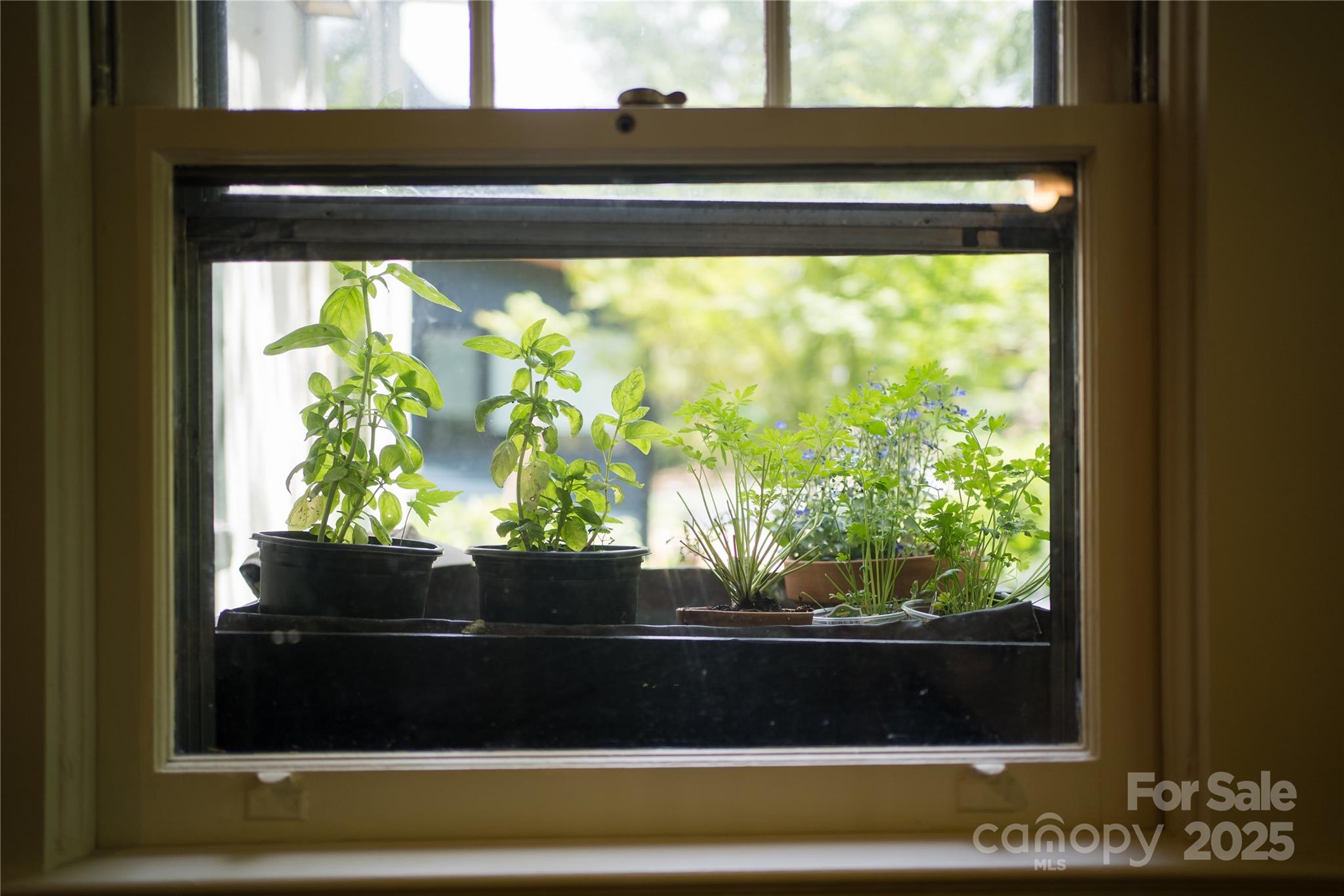 4 Duke Street Property Photo 26