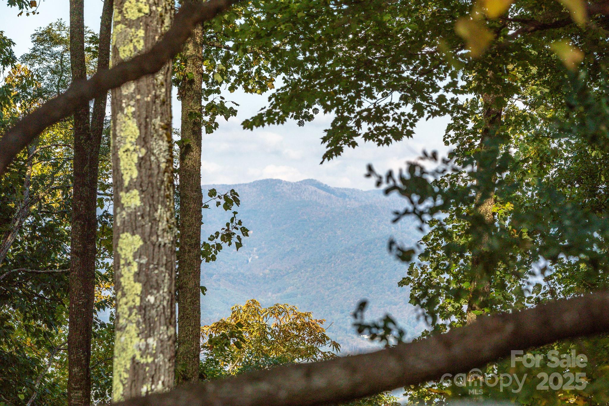 Lot 2 Ball Hooter Road 2/6 Property Photo 4