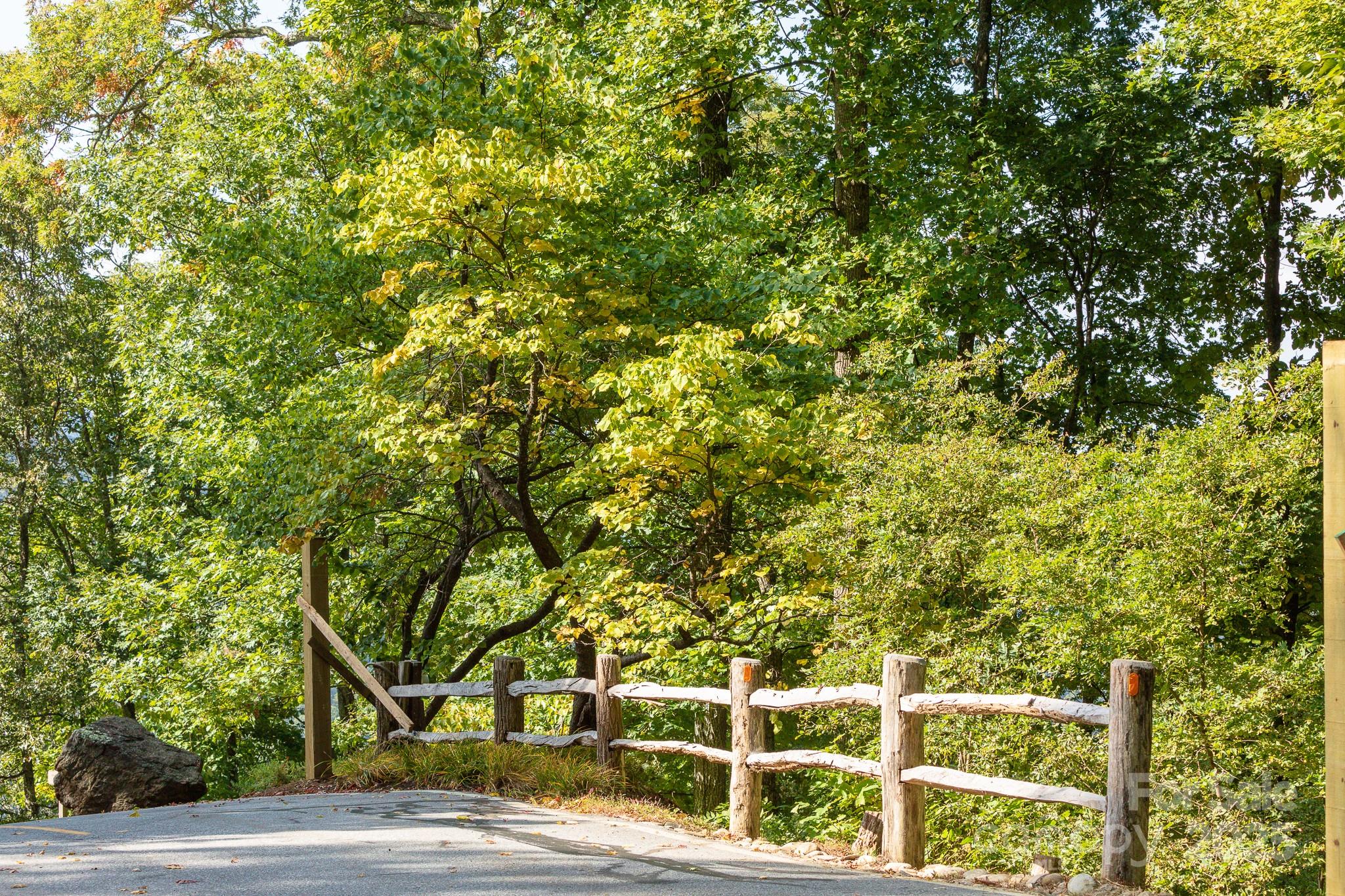 Lot 2 Ball Hooter Road 2/6 Property Photo 9