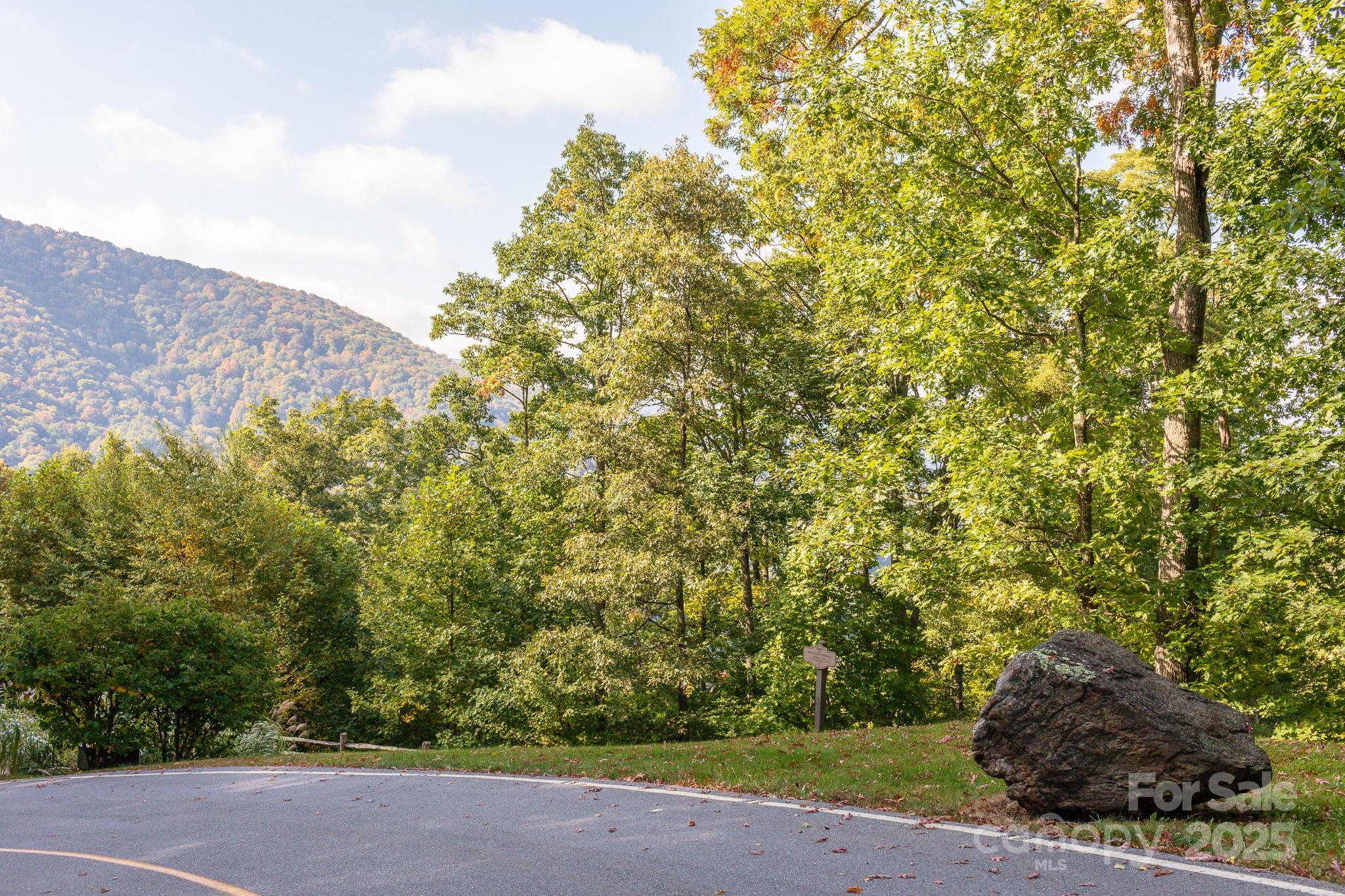 Lot 2 Ball Hooter Road 2/6 Property Photo 10