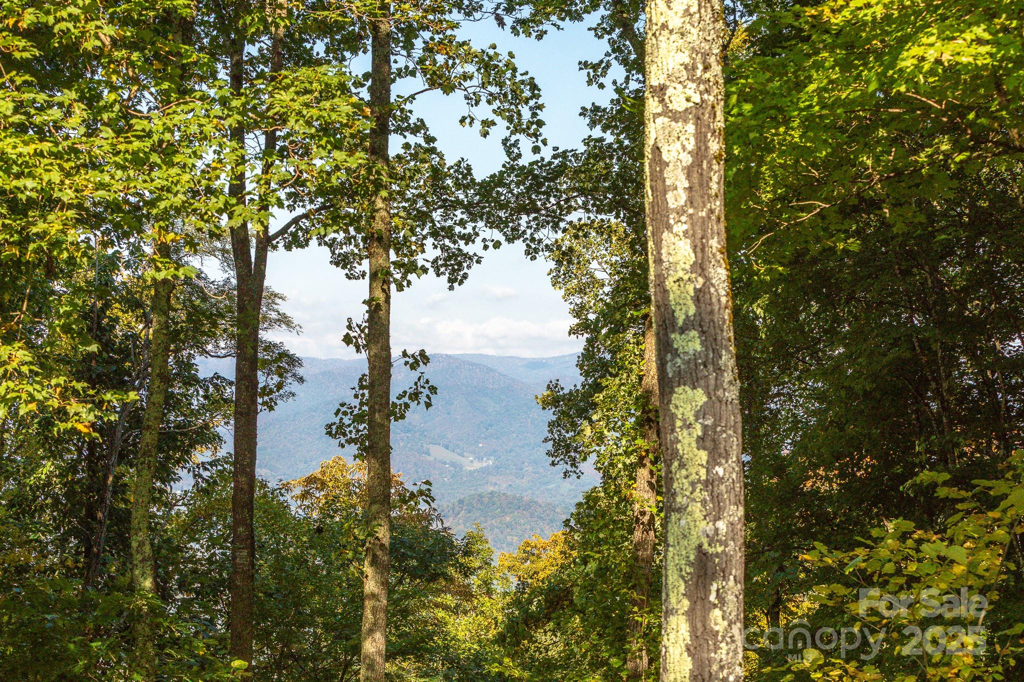 Lot 2 Ball Hooter Road 2/6 Property Photo 12