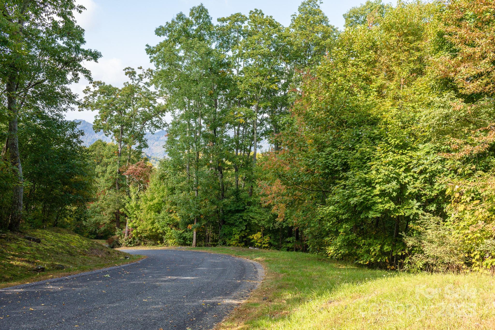 Lot 2 Ball Hooter Road 2/6 Property Photo 13