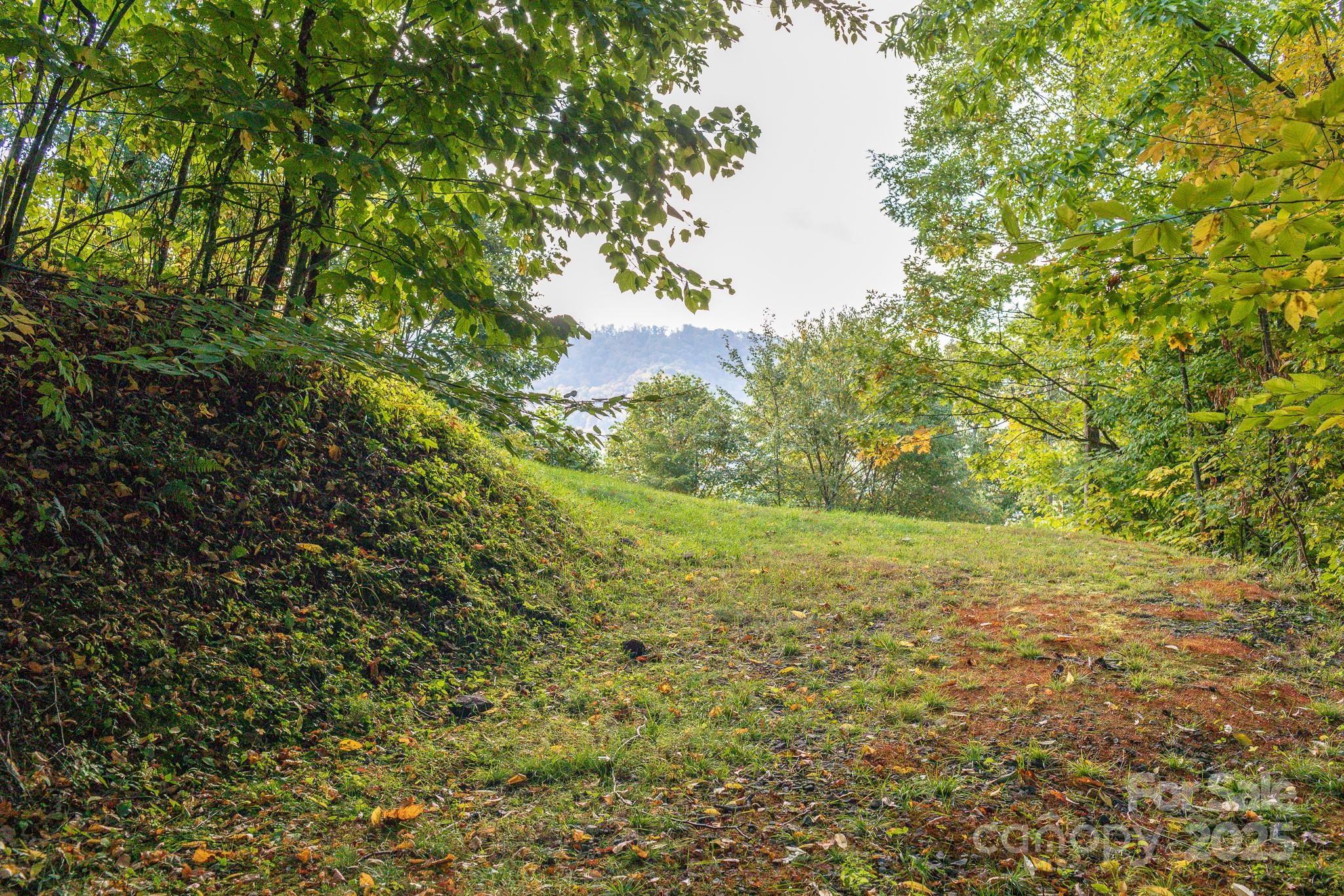 Lot 2 Ball Hooter Road 2/6 Property Photo 15