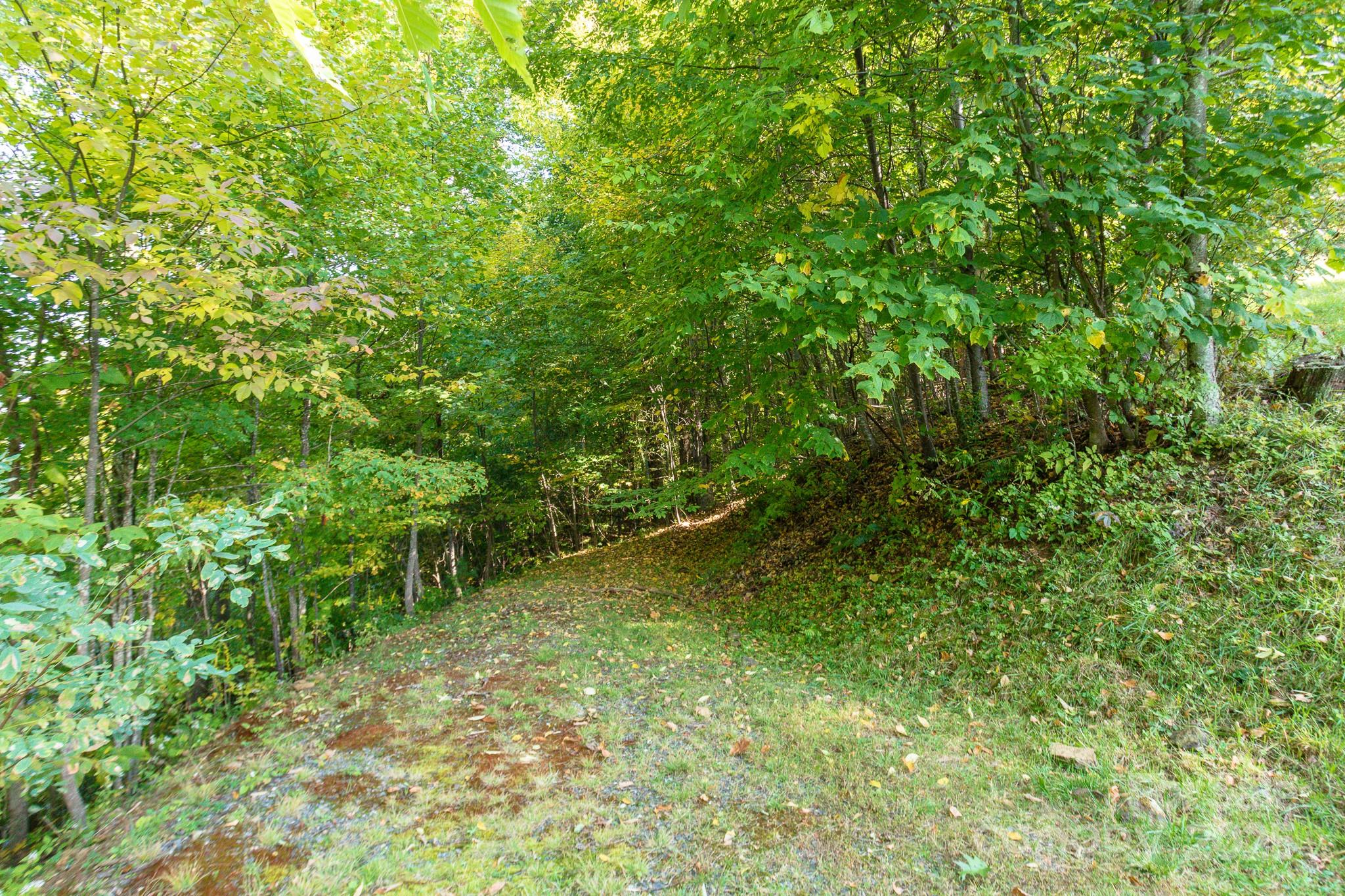 Lot 2 Ball Hooter Road 2/6 Property Photo 17