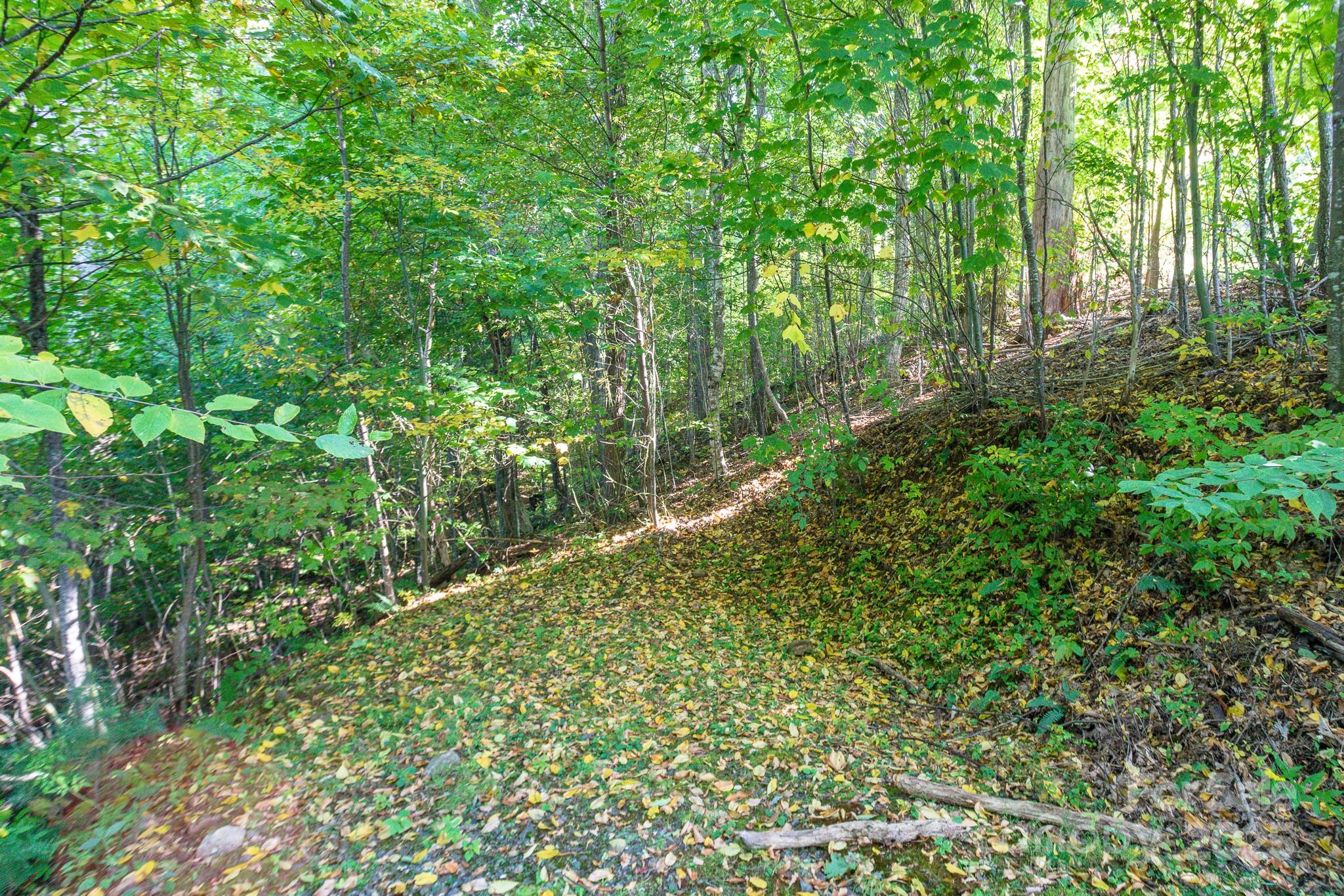 Lot 2 Ball Hooter Road 2/6 Property Photo 18