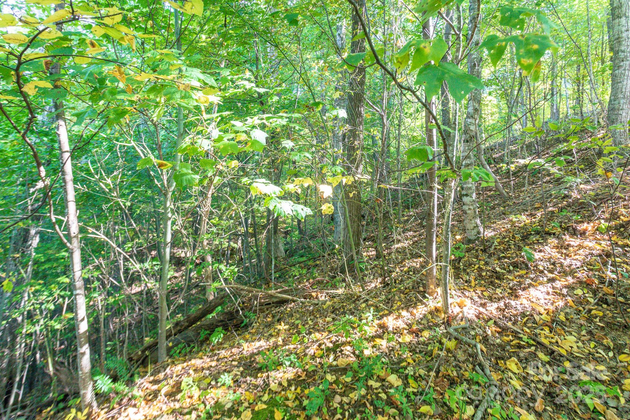 Lot 2 Ball Hooter Road 2/6 Property Photo 19