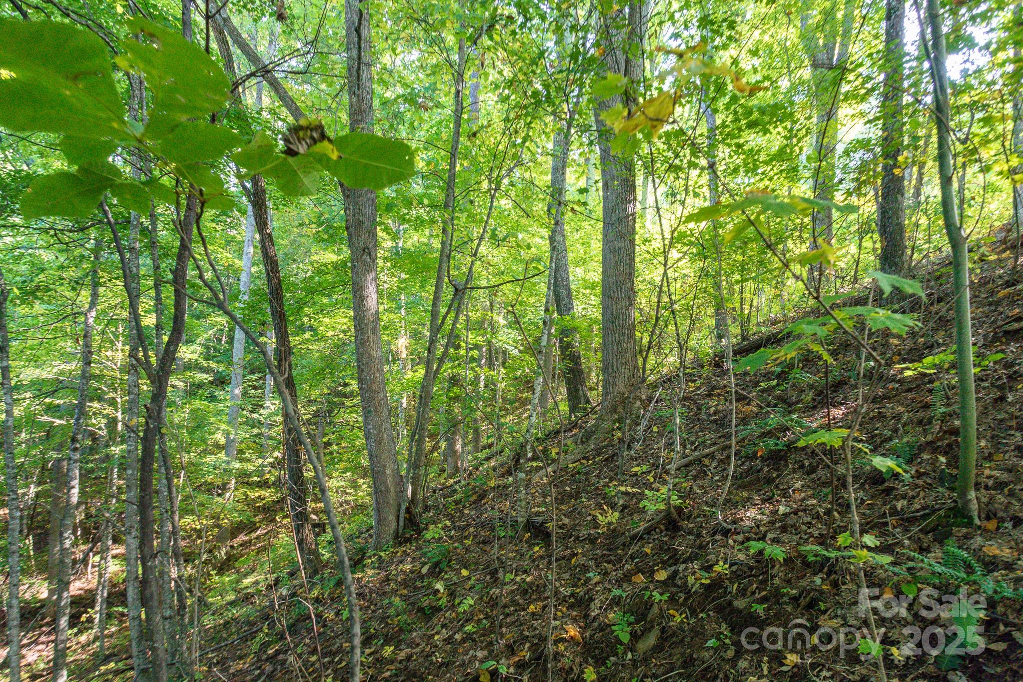 Lot 2 Ball Hooter Road 2/6 Property Photo 20