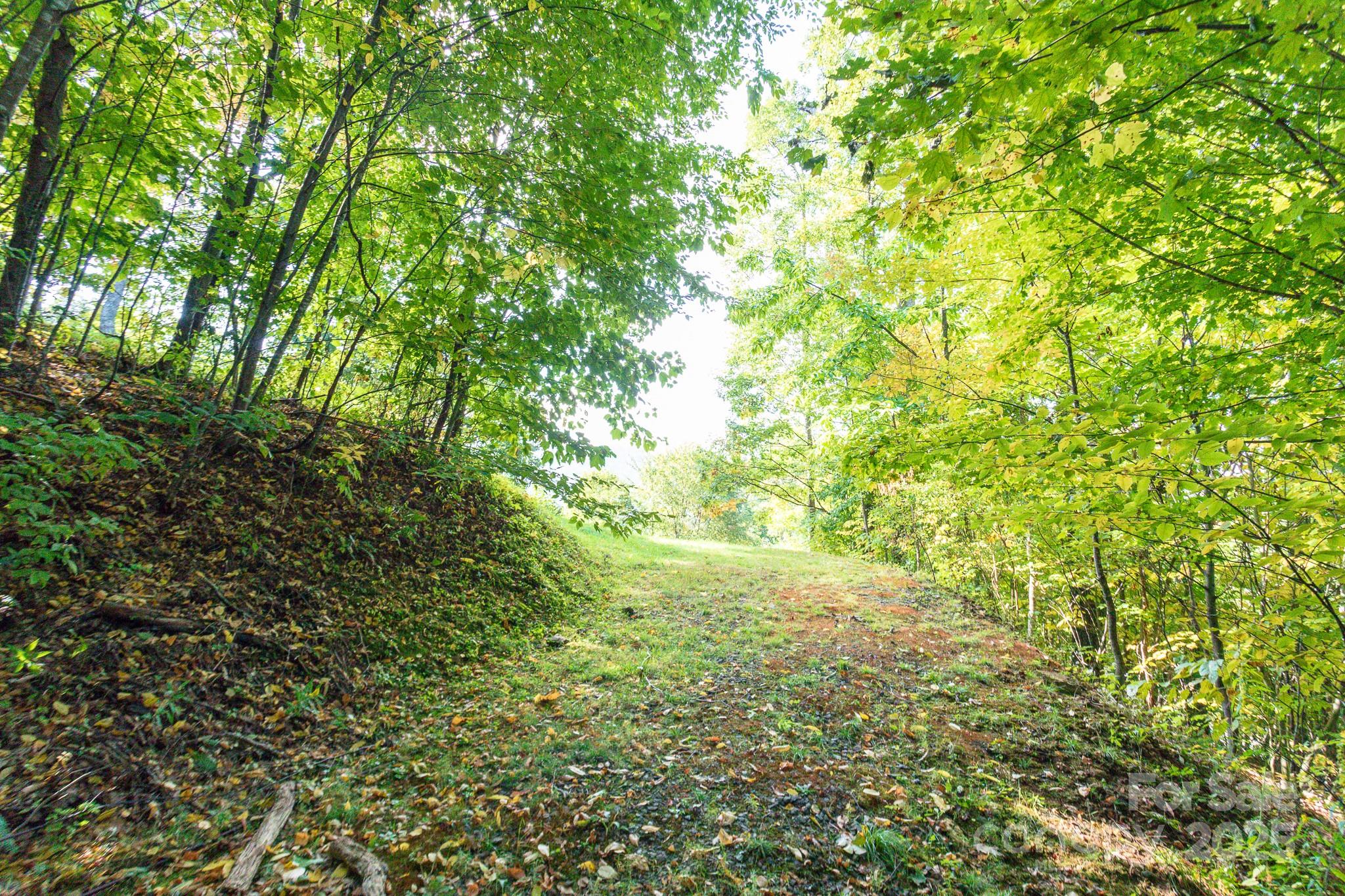 Lot 2 Ball Hooter Road 2/6 Property Photo 21