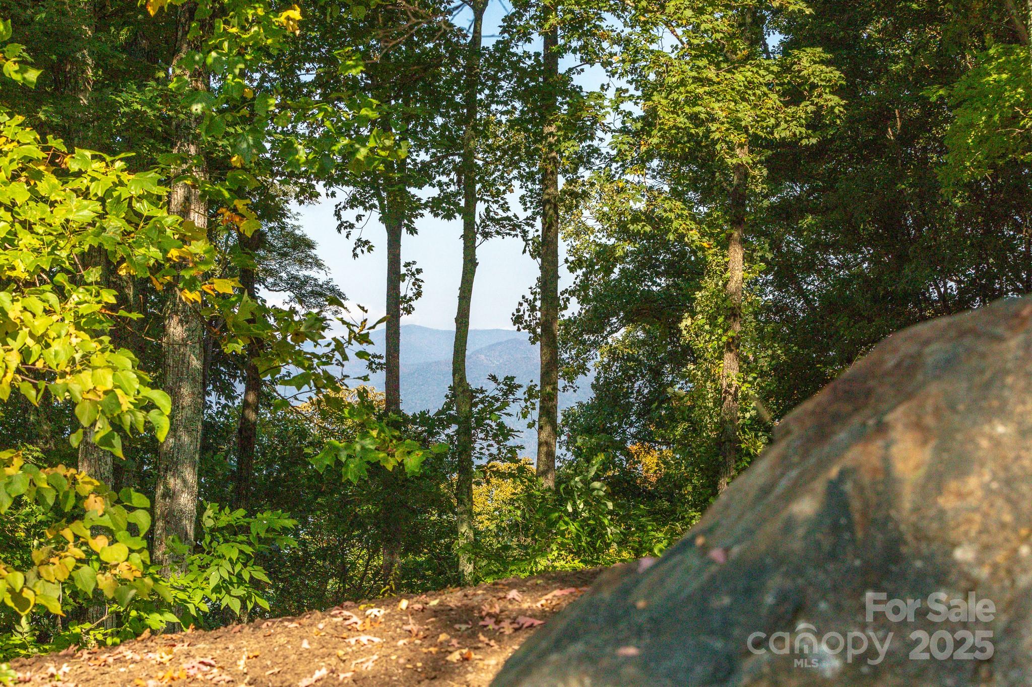 Lot 2 Ball Hooter Road 2/6 Property Photo 24