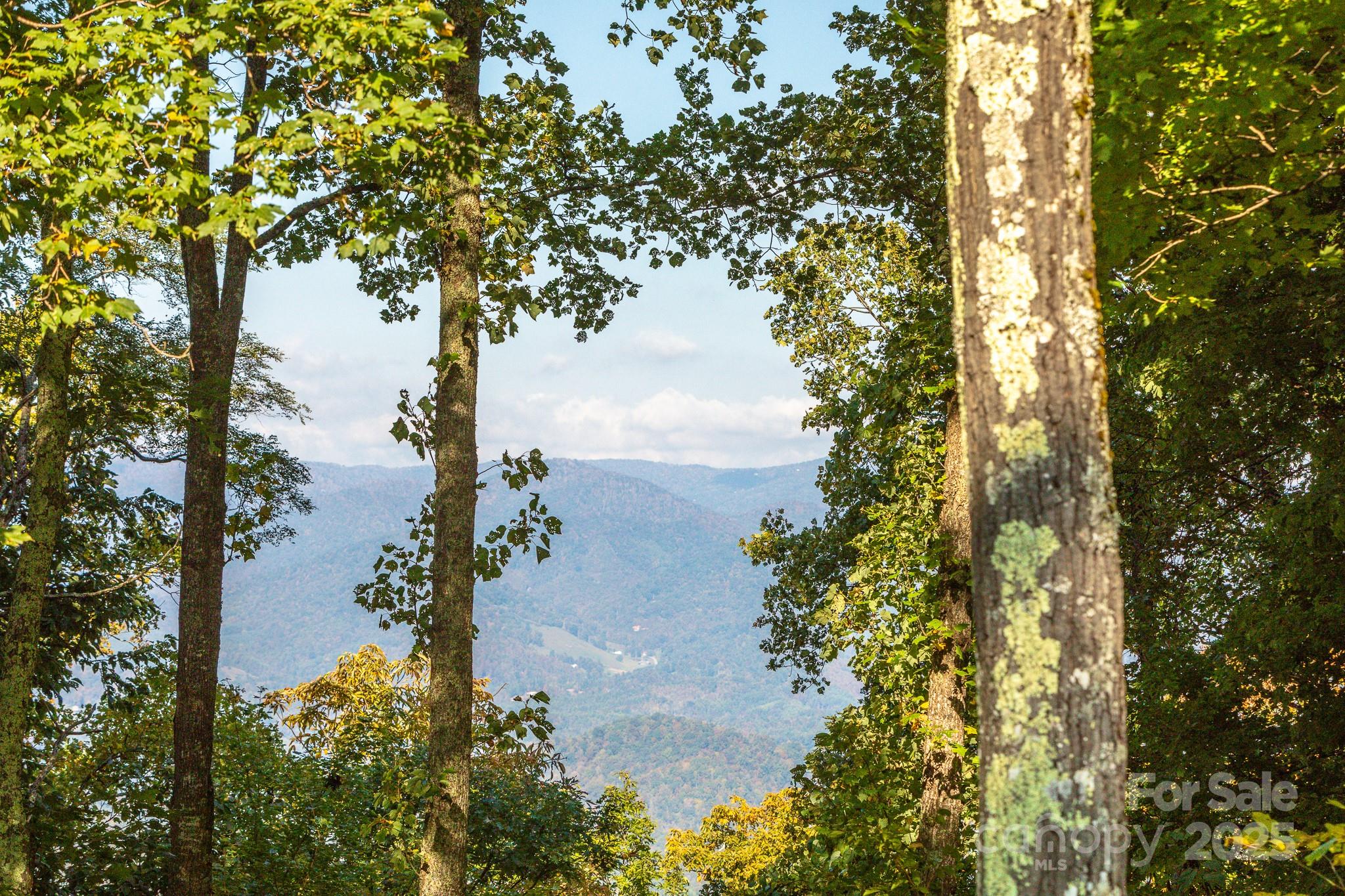 Lot 2 Ball Hooter Road 2/6 Property Photo 25