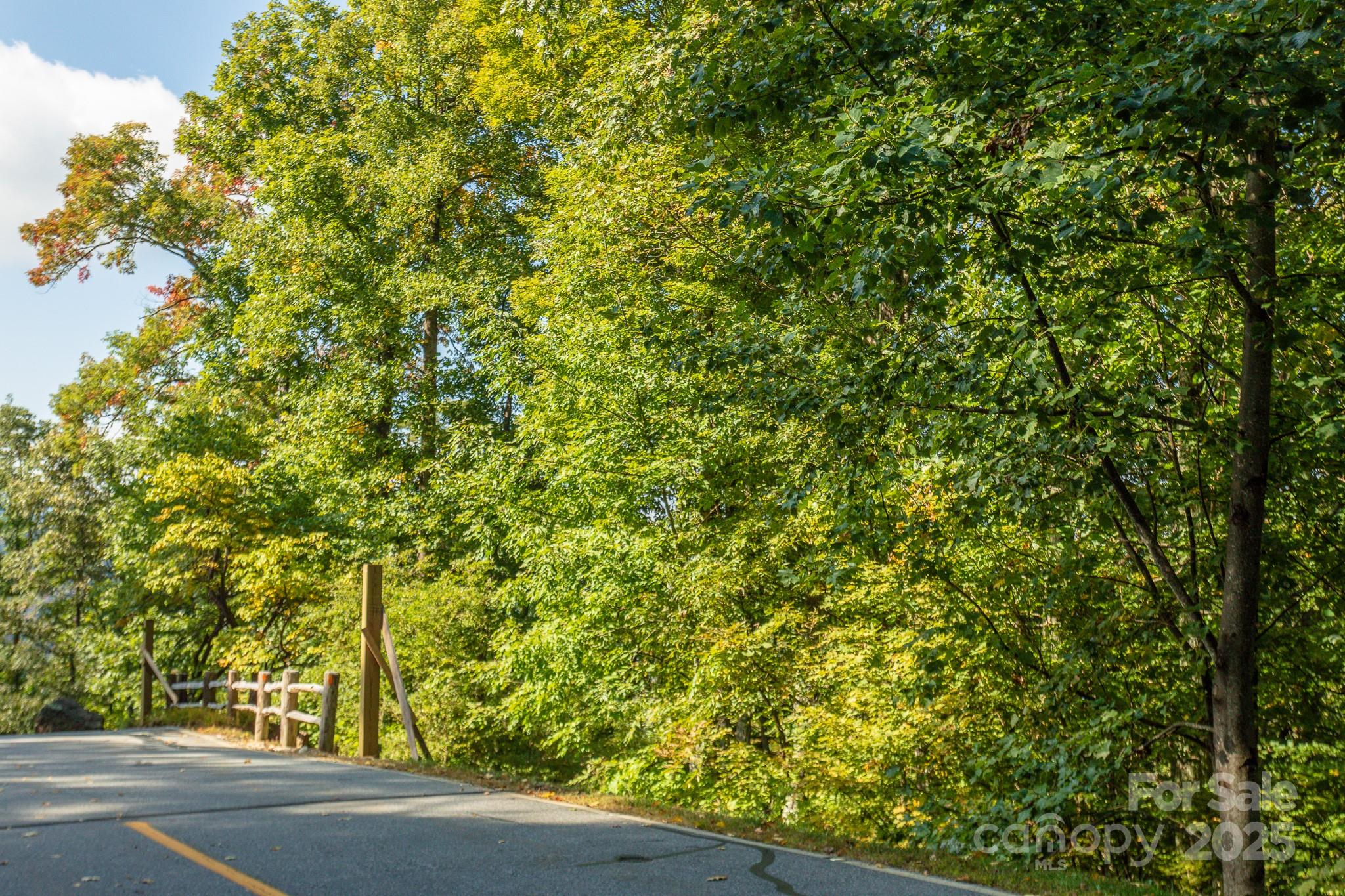 Lot 2 Ball Hooter Road 2/6 Property Photo 27