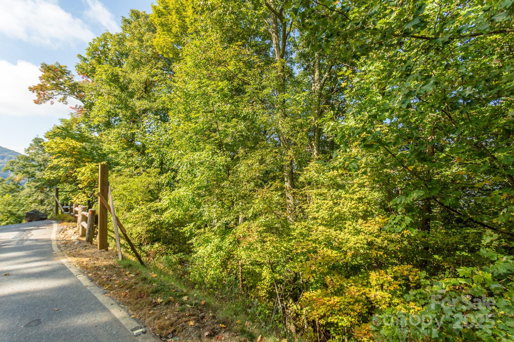 Lot 2 Ball Hooter Road 2/6 Property Photo 28