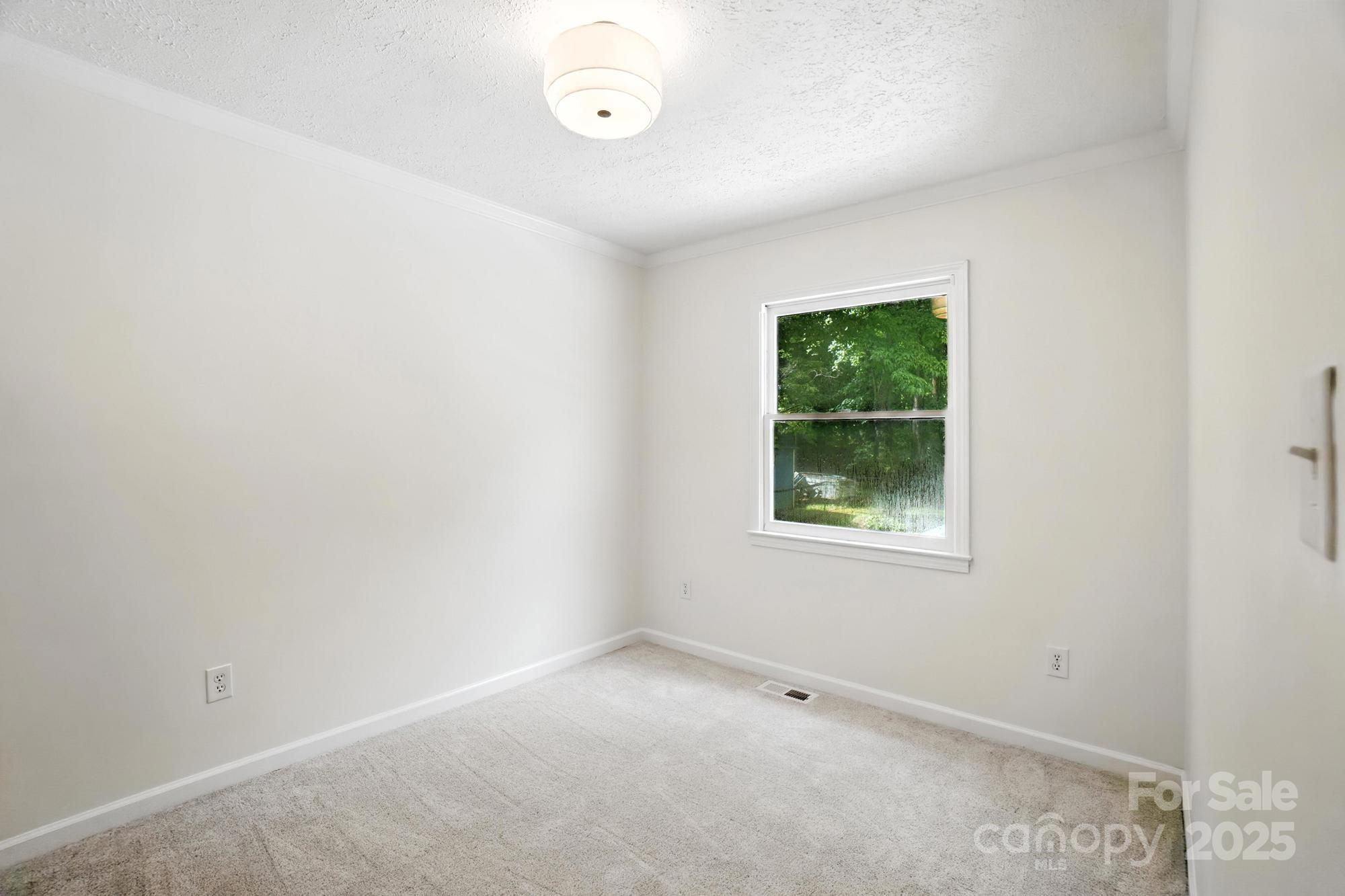 3921 Lake Road Property Photo 13