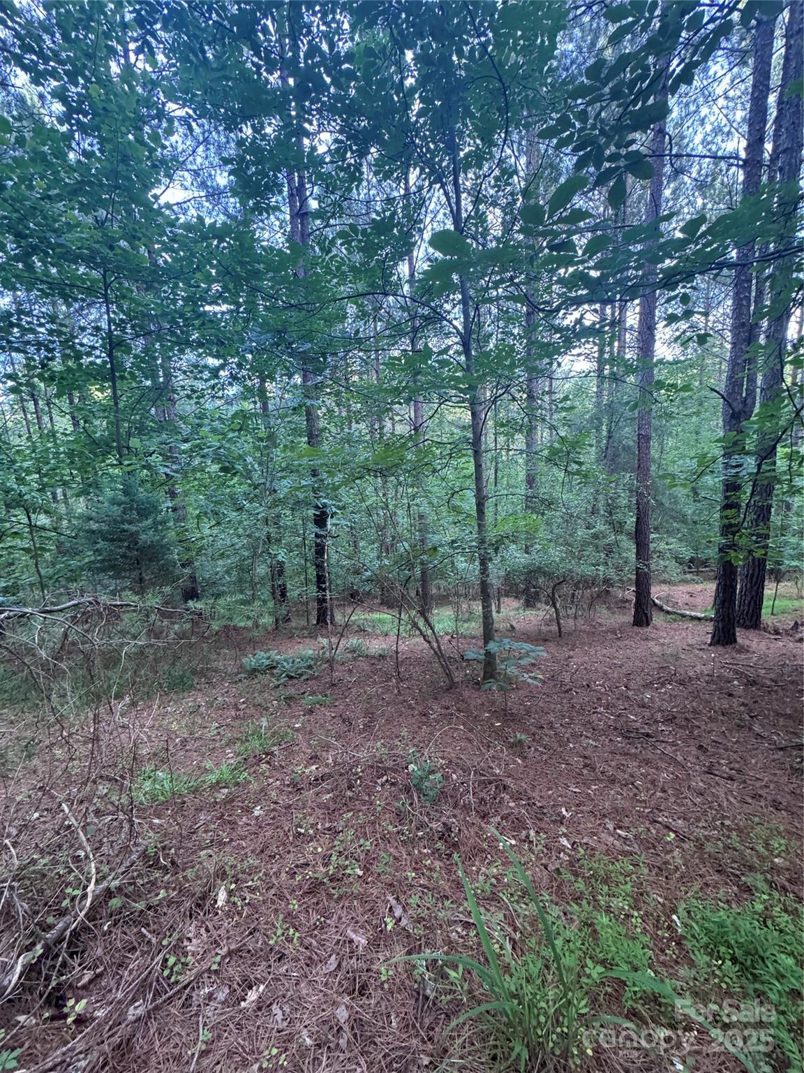 0 Clearwater Parkway 203 Property Photo 3