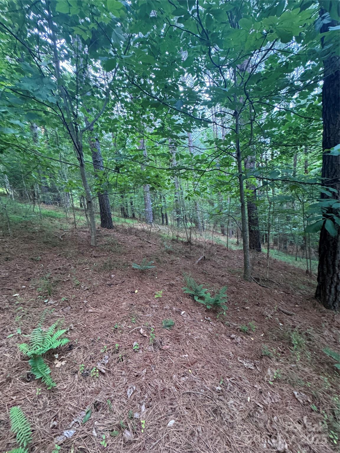 0 Clearwater Parkway 203 Property Photo 4