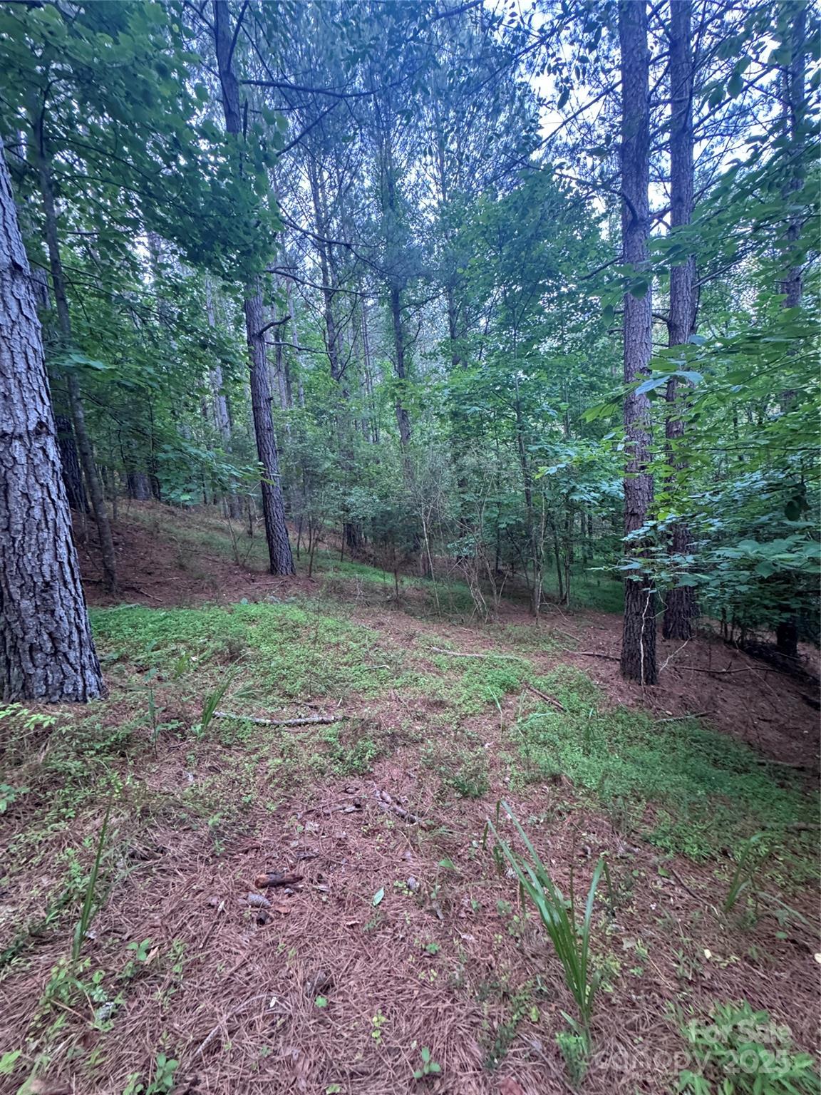 0 Clearwater Parkway 203 Property Photo 5