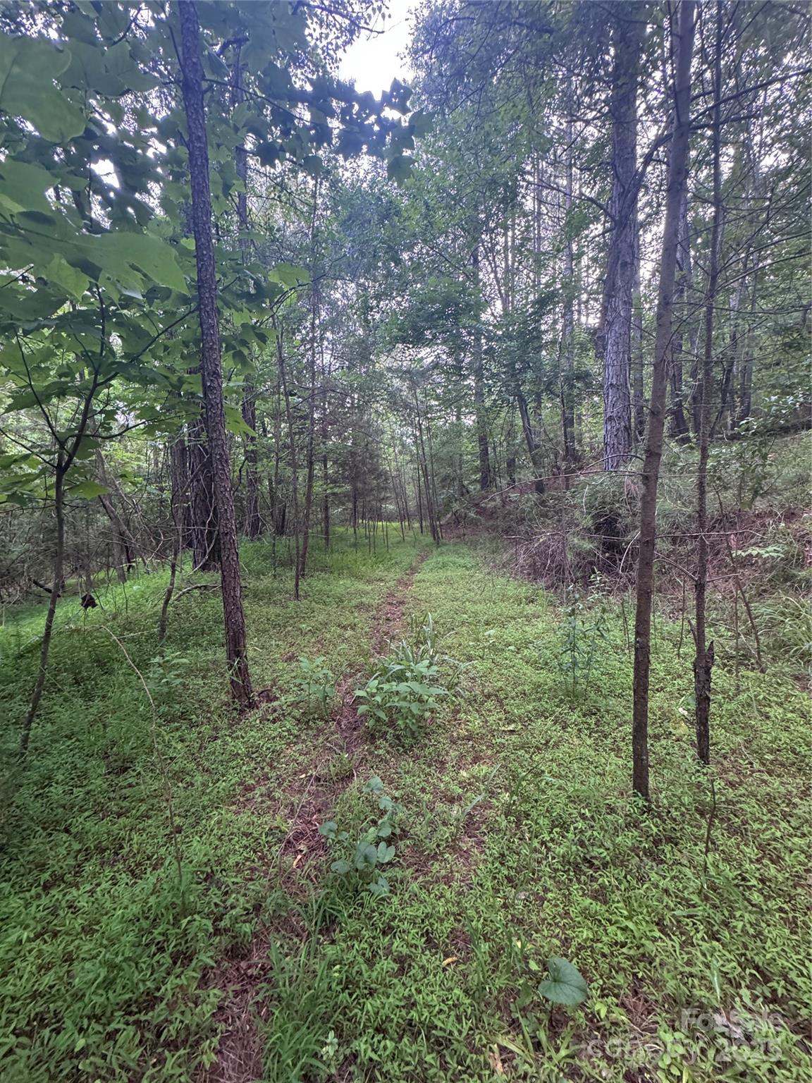 0 Clearwater Parkway 203 Property Photo 6