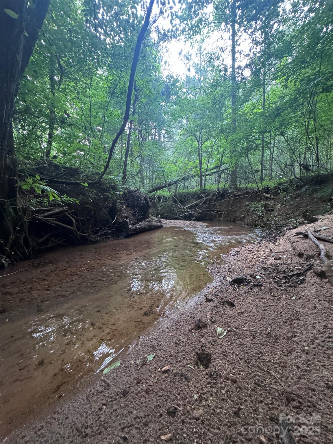 0 Clearwater Parkway 203 Property Photo 8